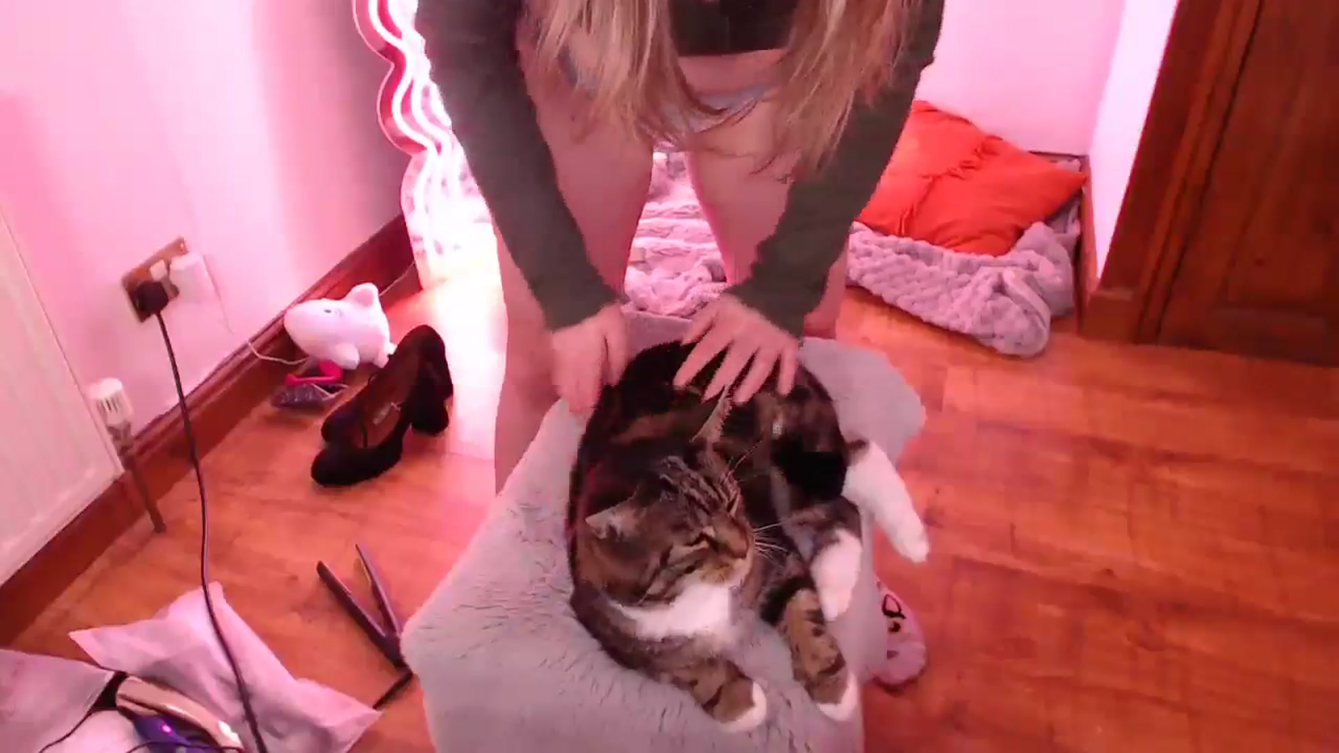 Gallery image thumbnail from KittyCash3w's myfreecams stream on, 03/06/2025, 20:13 image 13 of 20