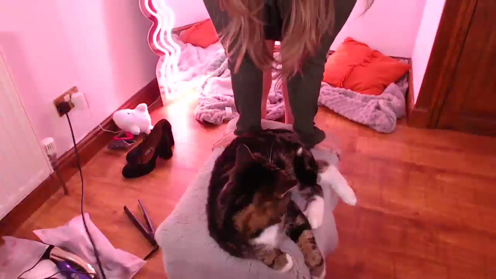 Gallery image thumbnail from KittyCash3w's myfreecams stream on, 03/06/2025, 20:13 image 14 of 20