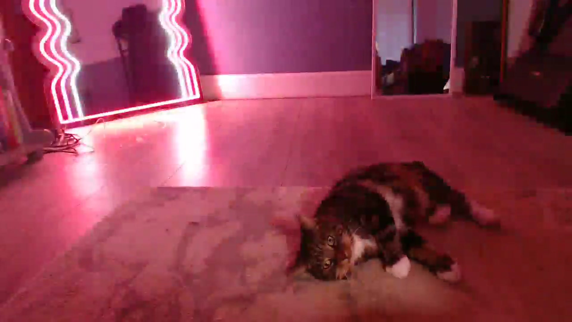 Gallery image thumbnail from KittyCash3w's myfreecams stream on, 08/13/2025, 19:06 image 18 of 20