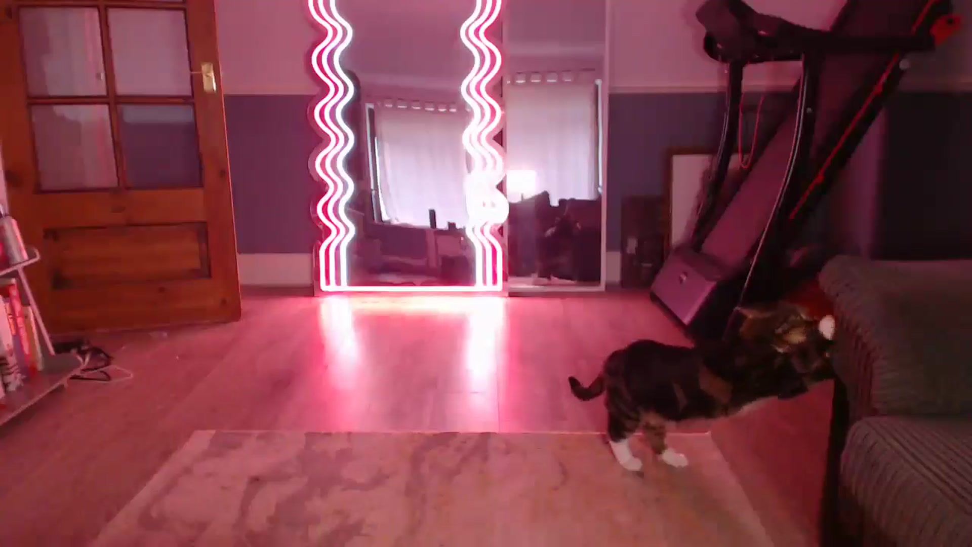 Gallery image thumbnail from KittyCash3w's myfreecams stream on, 08/13/2025, 19:06 image 7 of 20