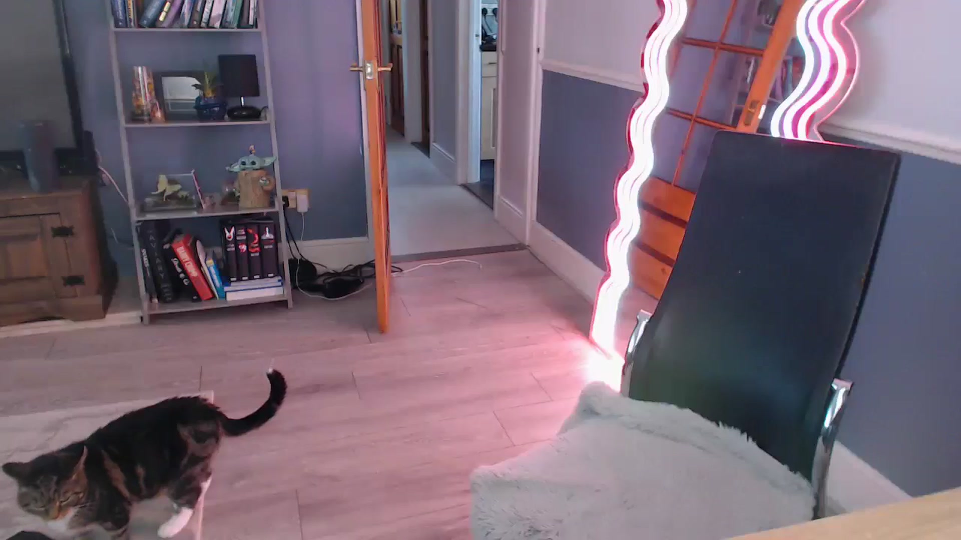 Gallery image thumbnail from KittyCash3w's myfreecams stream on, 11/12/2025, 11:56 image 20 of 20
