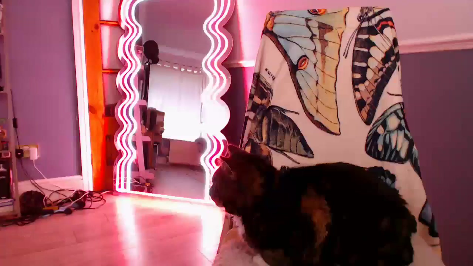 Gallery image thumbnail from KittyCash3w's myfreecams stream on, 12/07/2025, 12:48 image 17 of 20