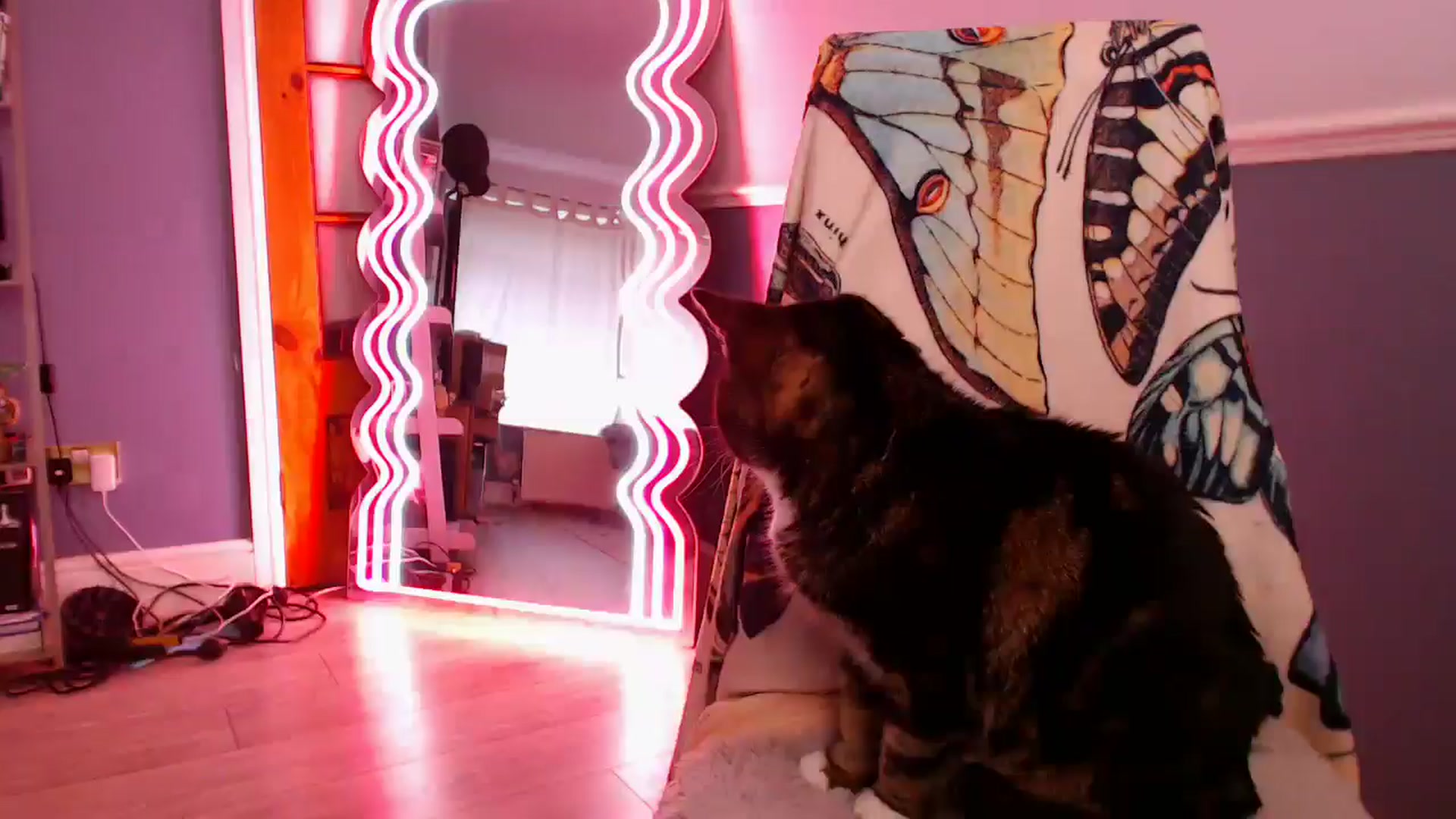Gallery image thumbnail from KittyCash3w's myfreecams stream on, 12/07/2025, 12:48 image 15 of 20