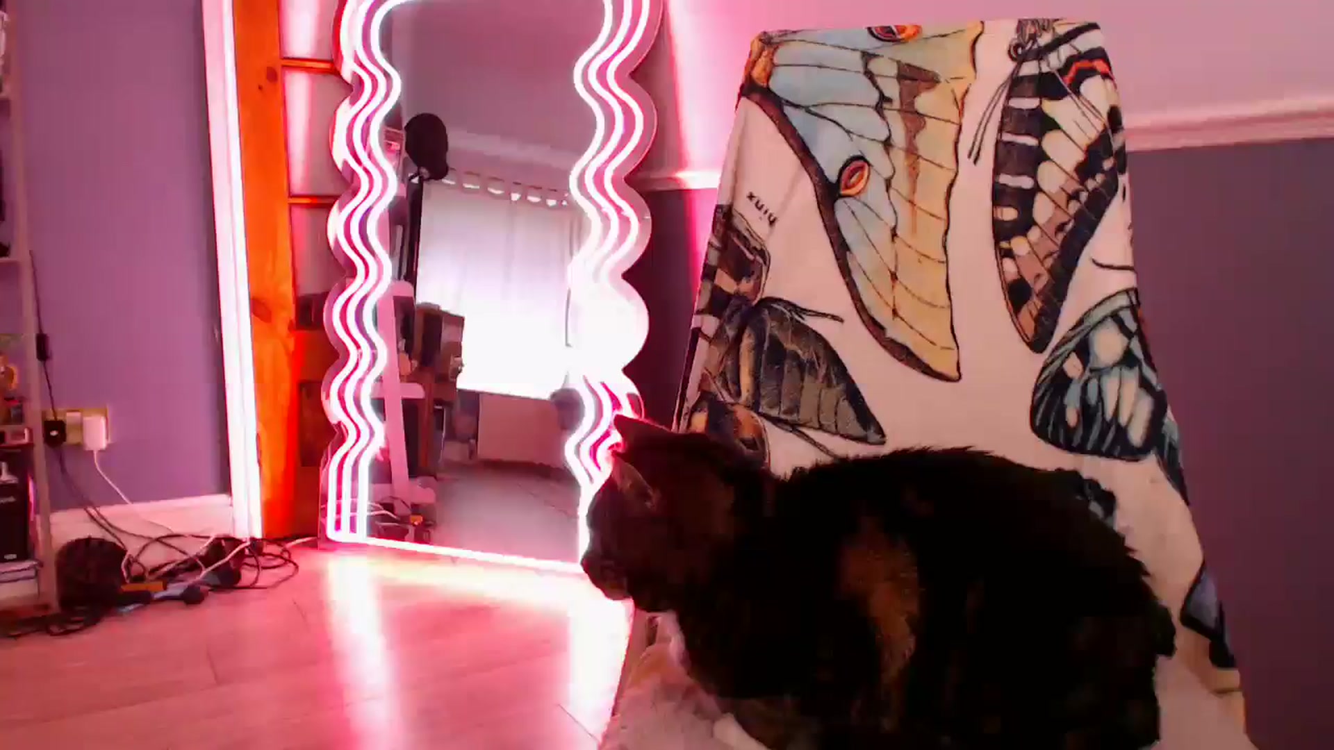 Gallery image thumbnail from KittyCash3w's myfreecams stream on, 12/07/2025, 12:48 image 16 of 20