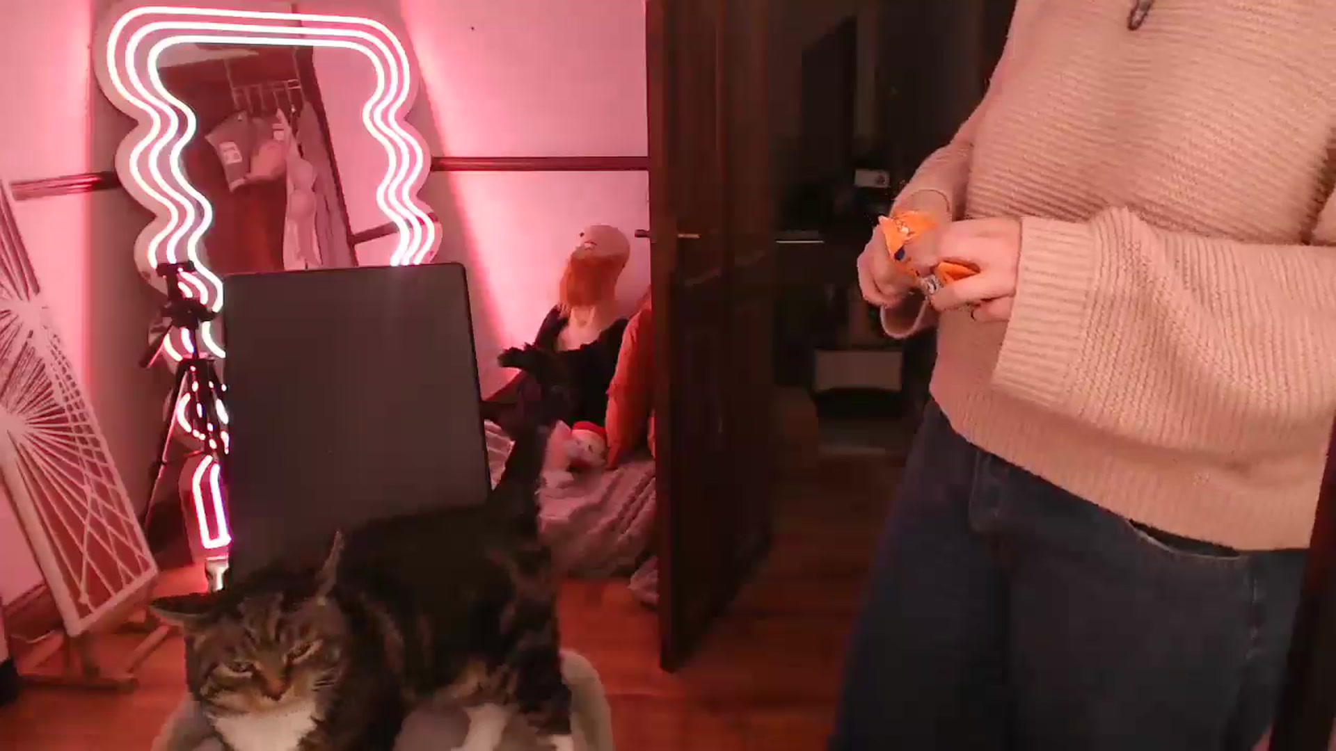 Gallery image thumbnail from KittyCash3w's myfreecams stream on, 03/01/2026, 20:37 image 4 of 20
