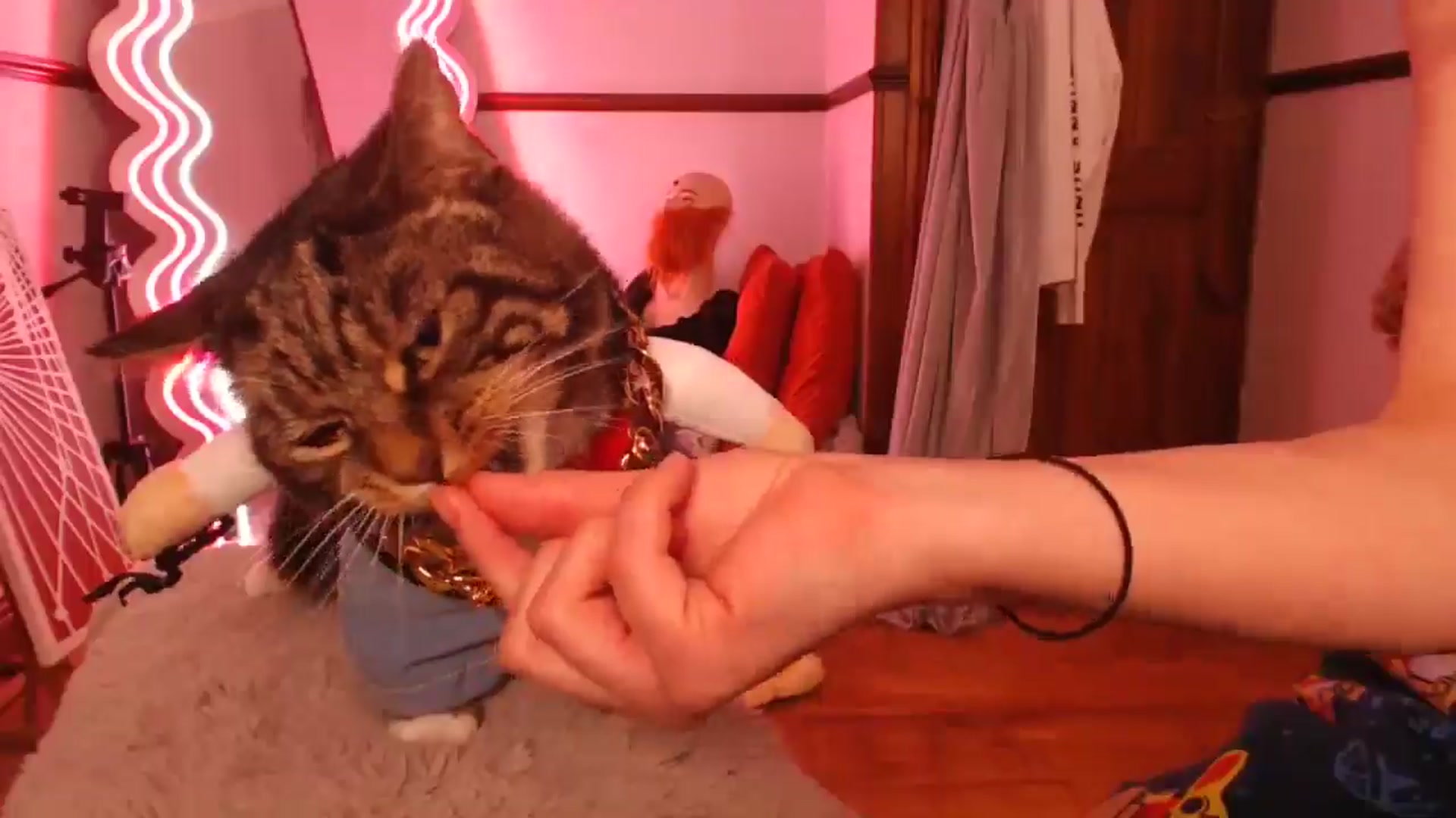 Gallery image thumbnail from KittyCash3w's myfreecams stream on, 03/04/2026, 19:22 image 16 of 20
