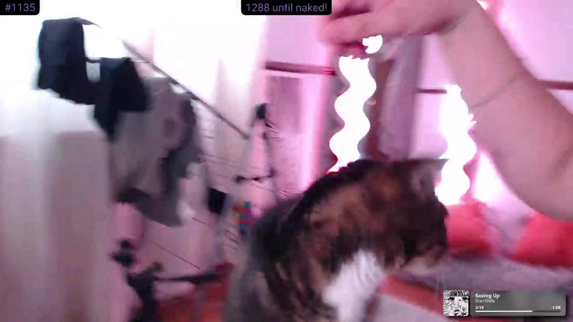 Gallery image thumbnail from KittyCash3w's myfreecams stream on, 06/22/2026, 20:21 image 11 of 20