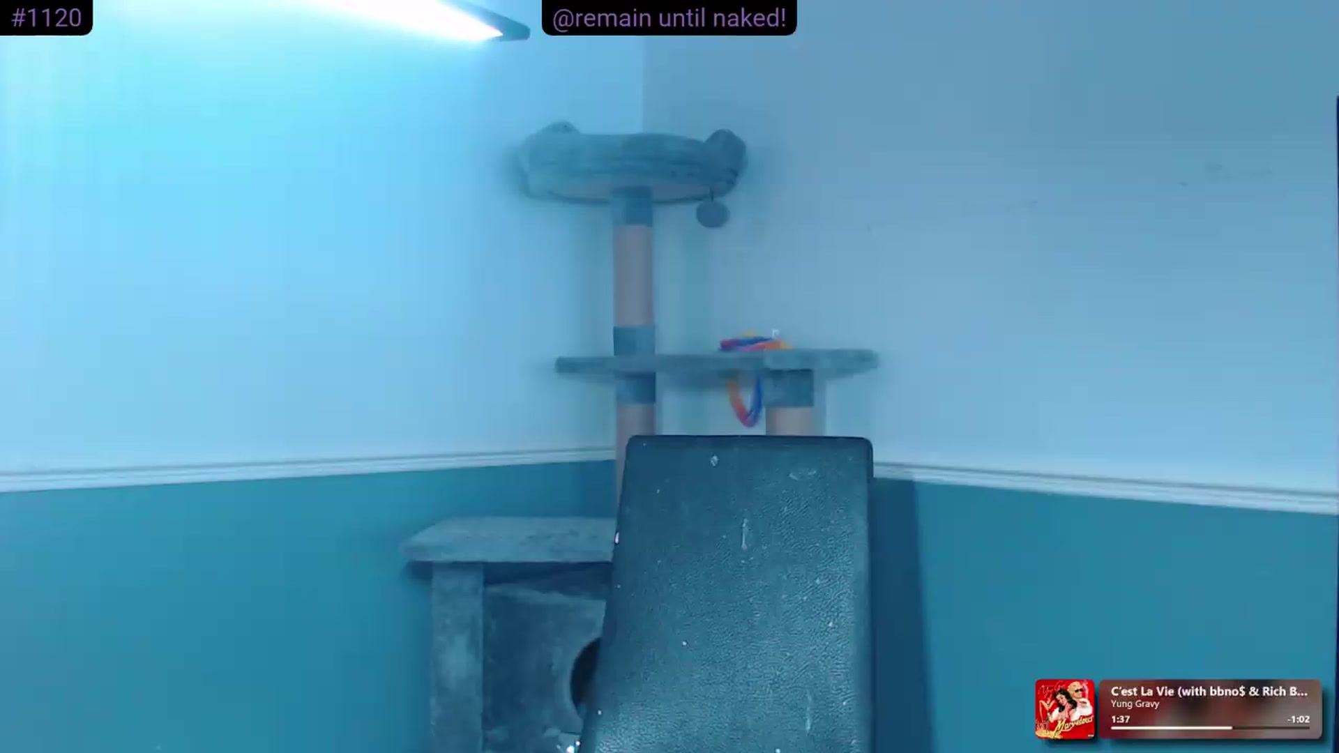 Gallery image thumbnail from KittyCash3w's myfreecams stream on, 06/23/2026, 19:31 image 2 of 20