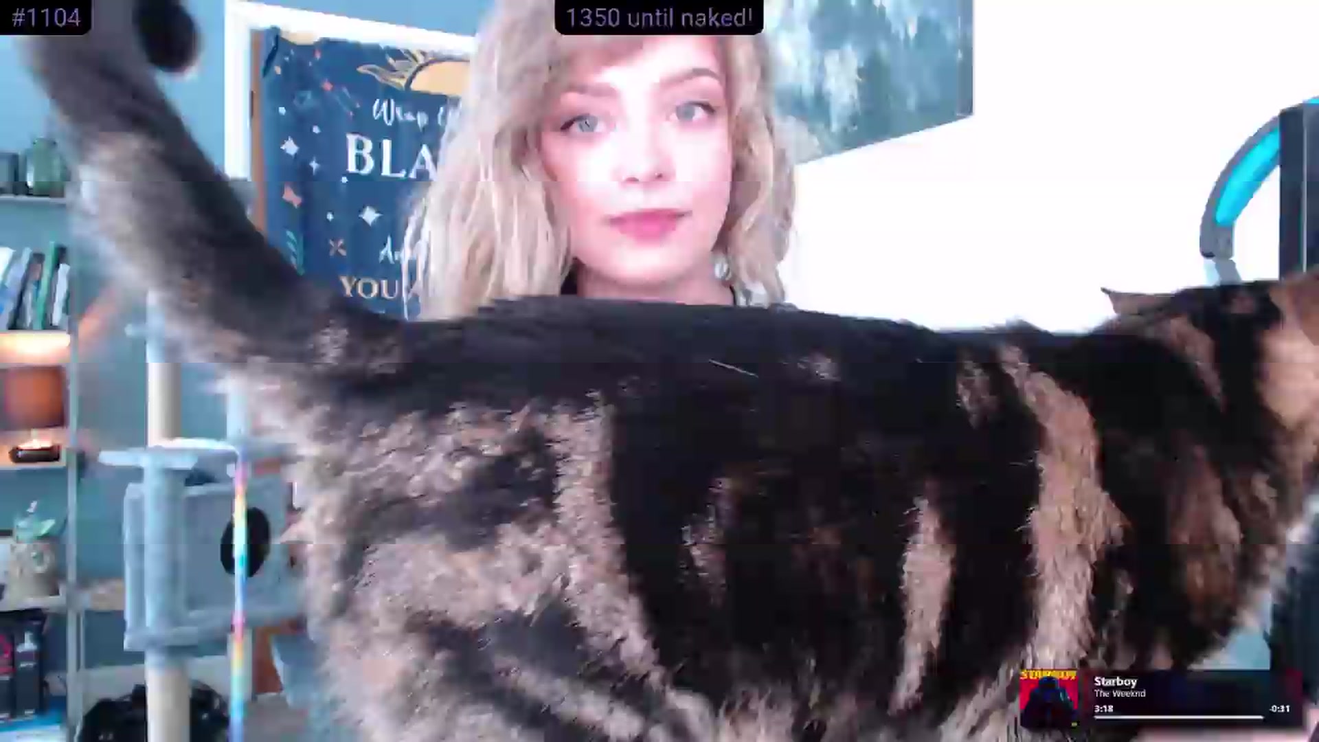 Gallery image thumbnail from KittyCash3w's myfreecams stream on, 06/25/2026, 09:32 image 7 of 20