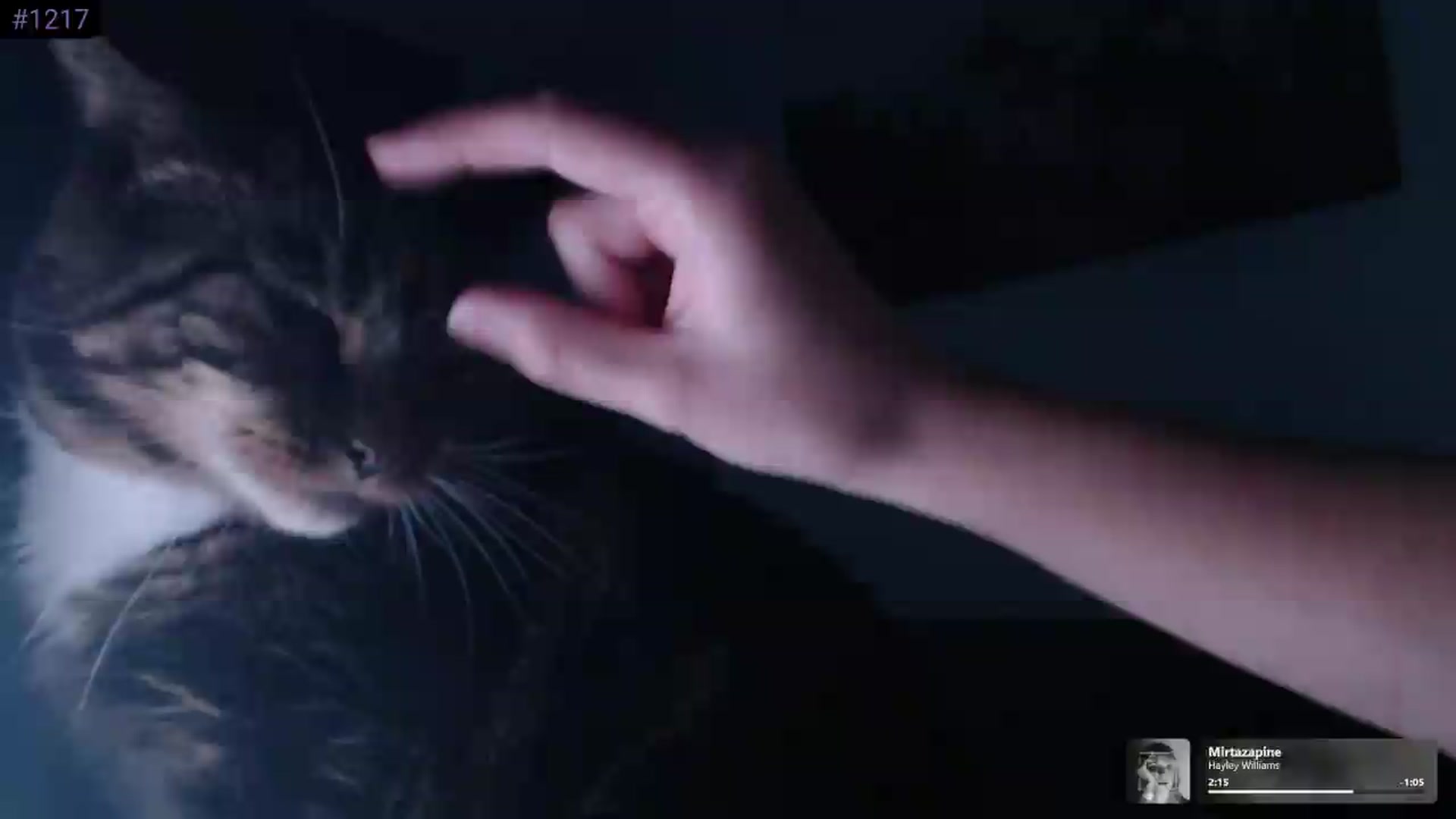 Gallery image thumbnail from KittyCash3w's myfreecams stream on, 06/29/2026, 20:28 image 18 of 20