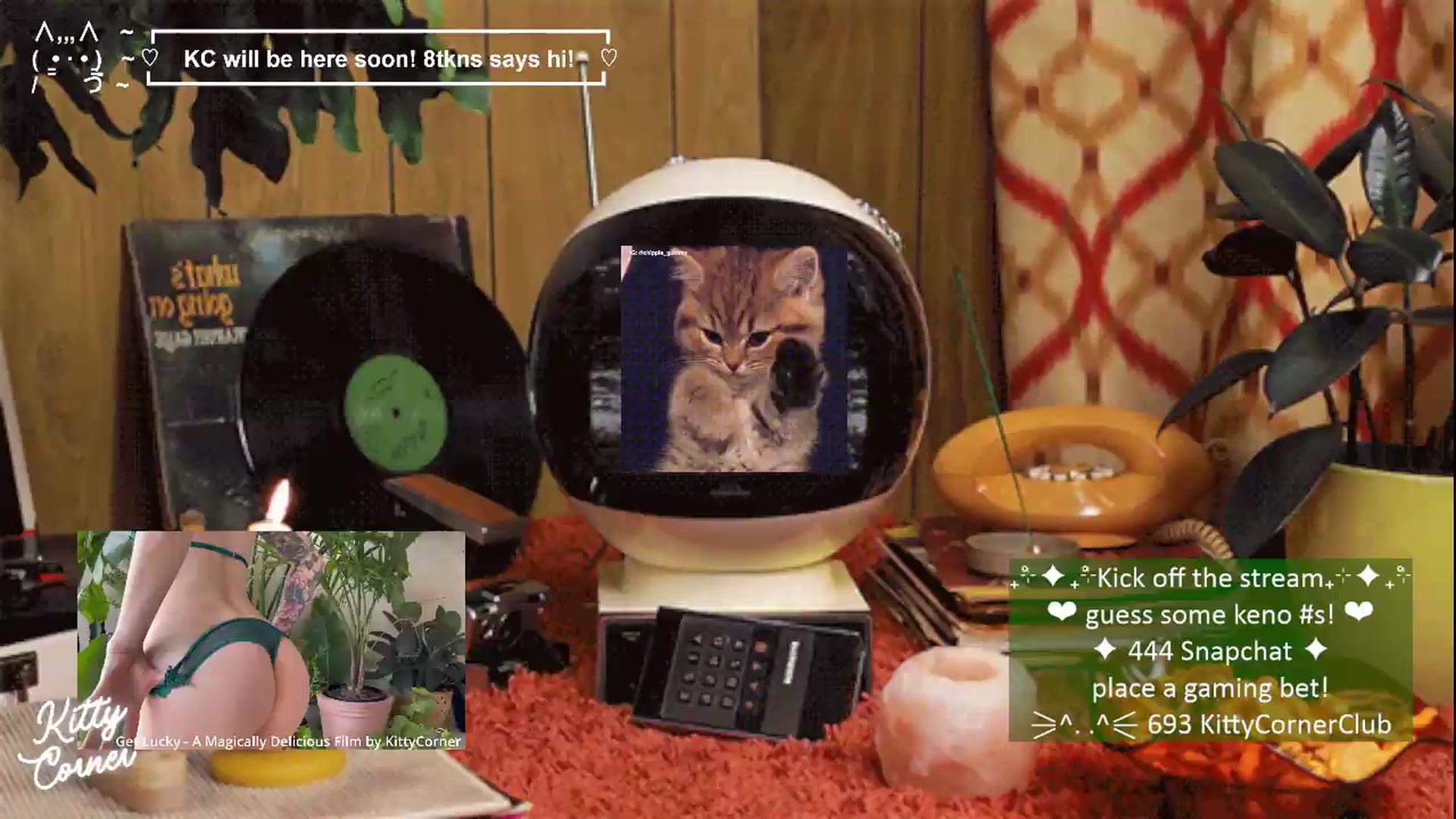 Gallery image thumbnail from KittyCorner's myfreecams stream on, 05/25/2026, 22:34 image 7 of 20