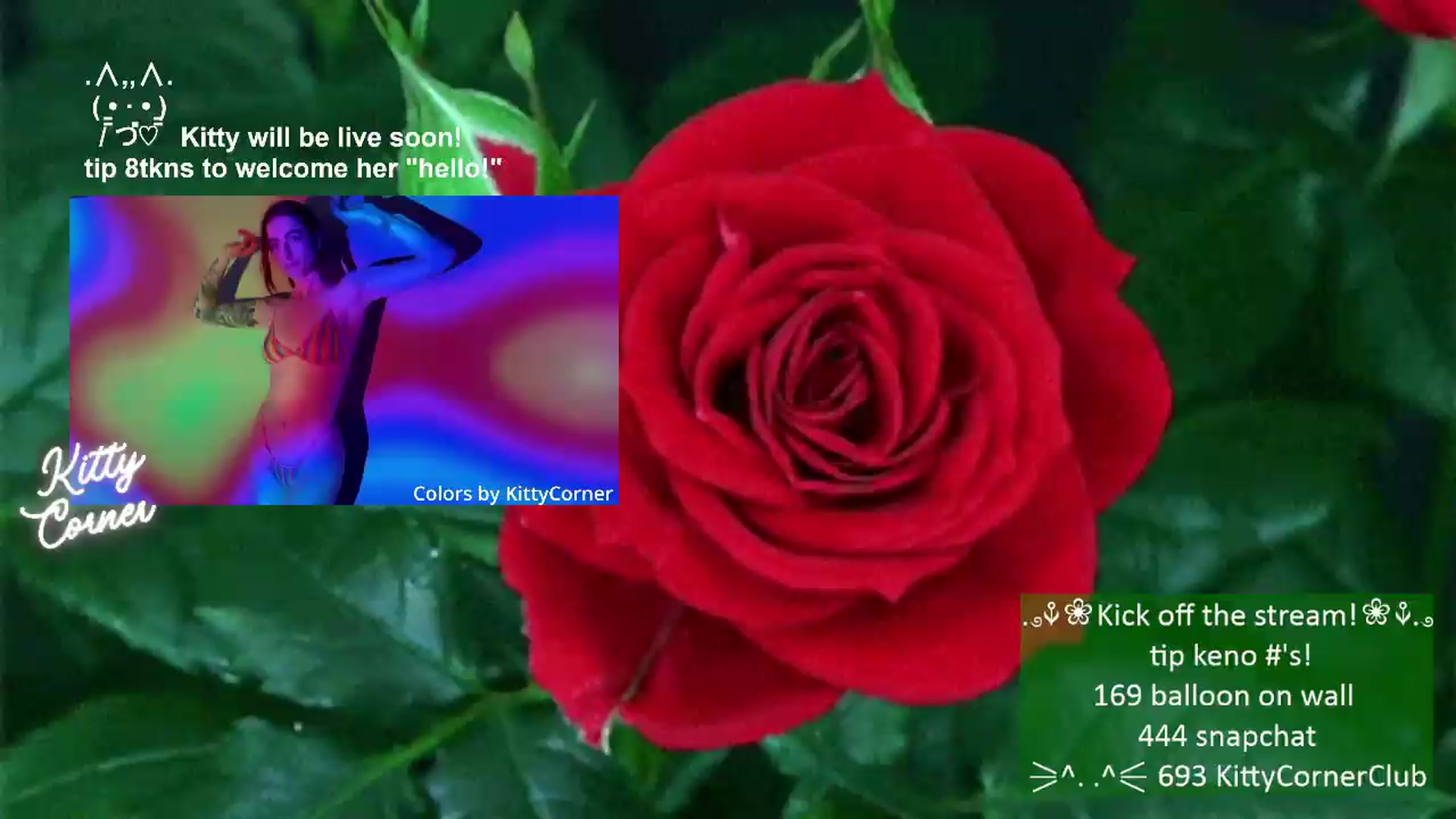 Gallery image thumbnail from KittyCorner's myfreecams stream on, 06/11/2026, 24:01 image 1 of 20