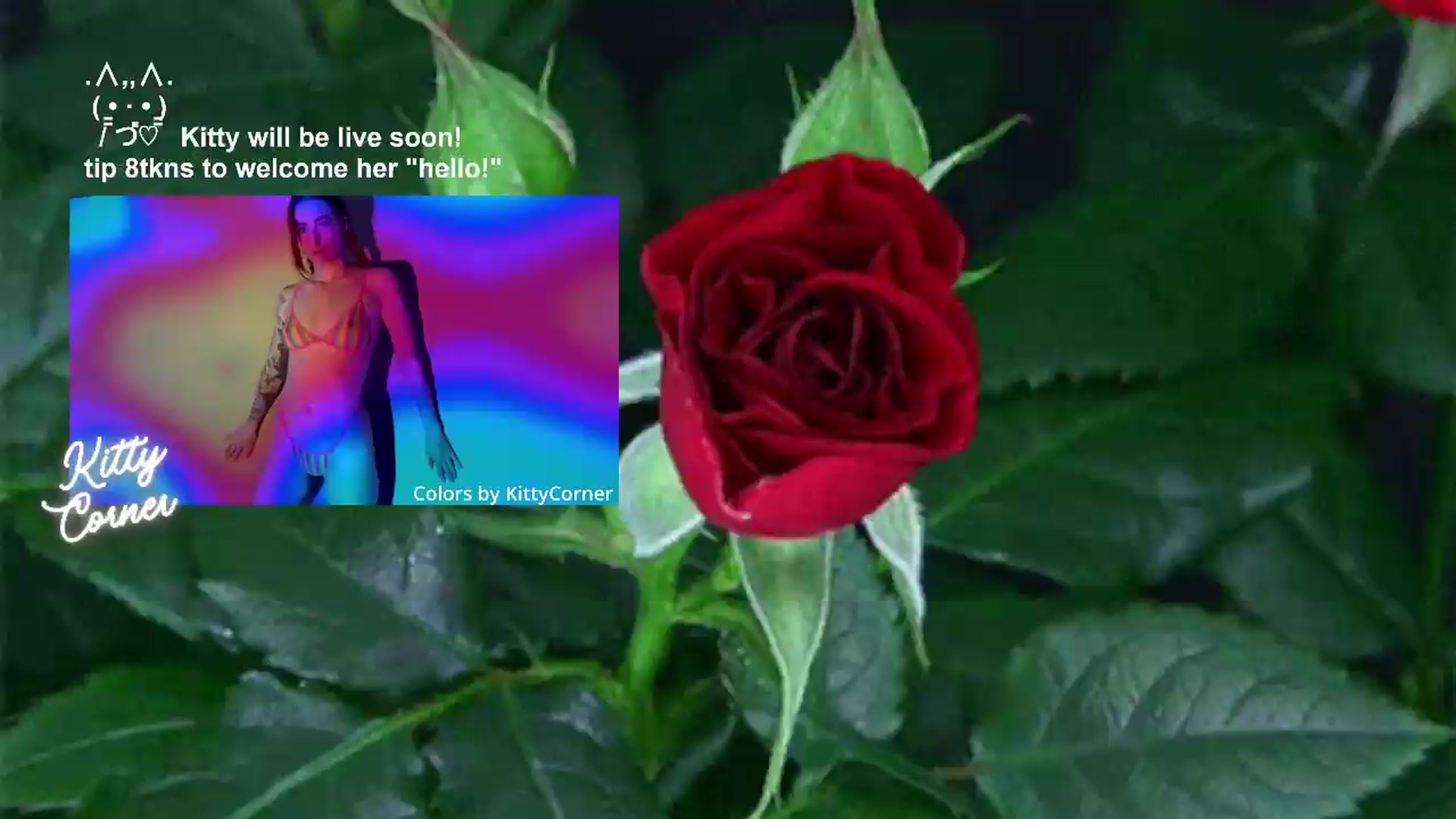 Gallery image thumbnail from KittyCorner's myfreecams stream on, 07/07/2026, 04:54 image 1 of 20