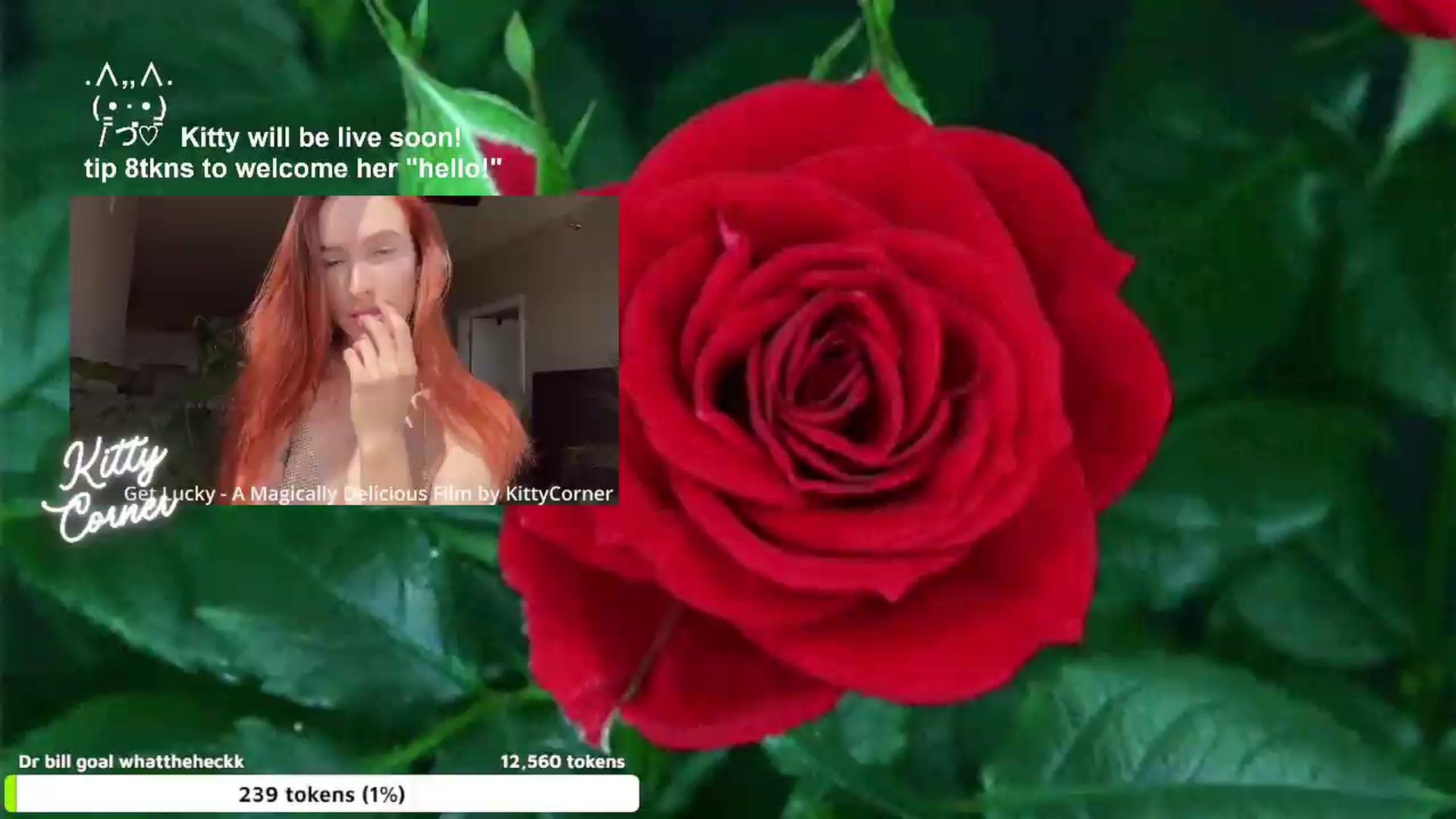 Gallery image thumbnail from KittyCorner's myfreecams stream on, 07/16/2026, 24:34 image 2 of 20