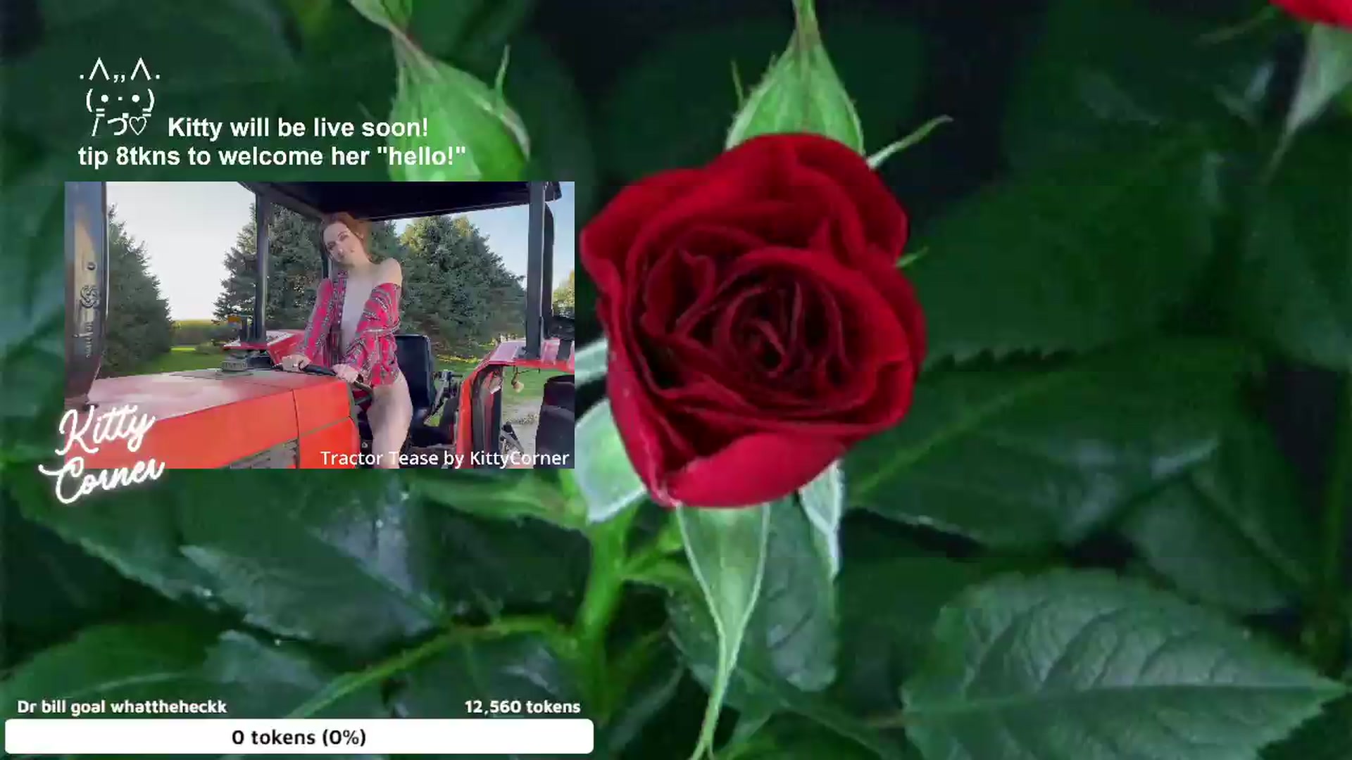 Gallery image thumbnail from KittyCorner's myfreecams stream on, 07/16/2026, 24:34 image 1 of 20