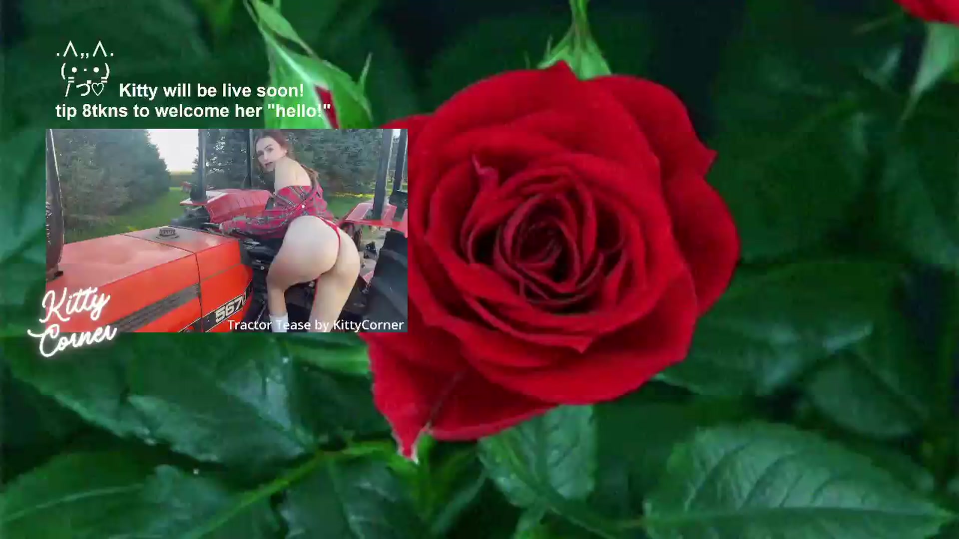 Gallery image thumbnail from KittyCorner's myfreecams stream on, 07/28/2026, 04:13 image 1 of 20