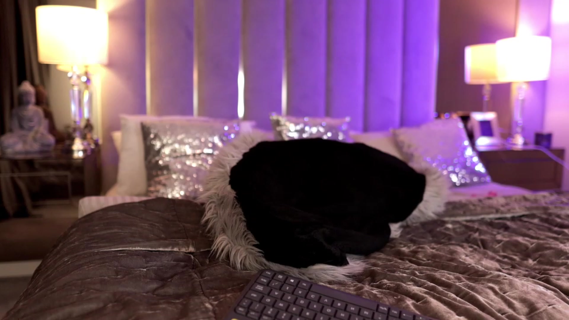 Gallery image thumbnail from KittyDiamond5's myfreecams stream on, 01/20/2023, 15:20 image 1 of 20