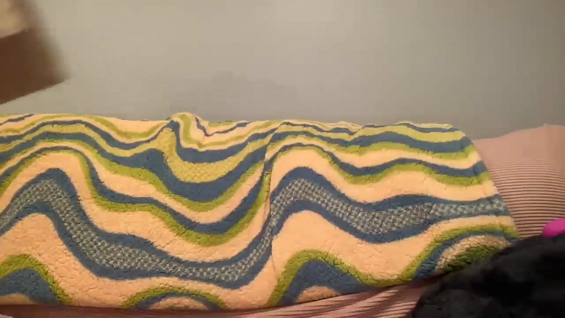 Gallery image thumbnail from KittyKat29's myfreecams stream on, 08/20/2023, 23:05 image 14 of 20