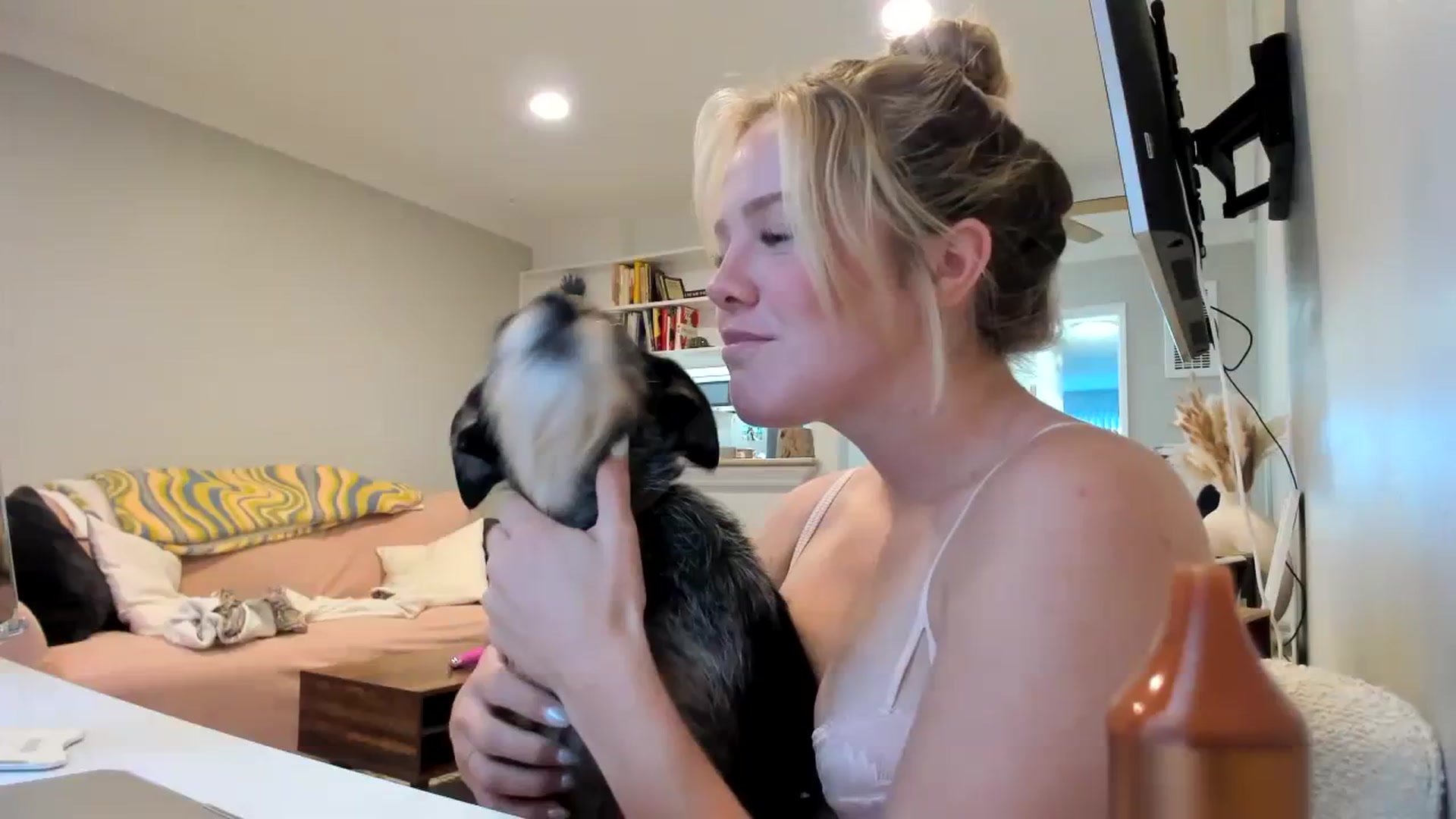 Gallery image thumbnail from KittyKat29's myfreecams stream on, 08/22/2023, 21:54 image 11 of 20