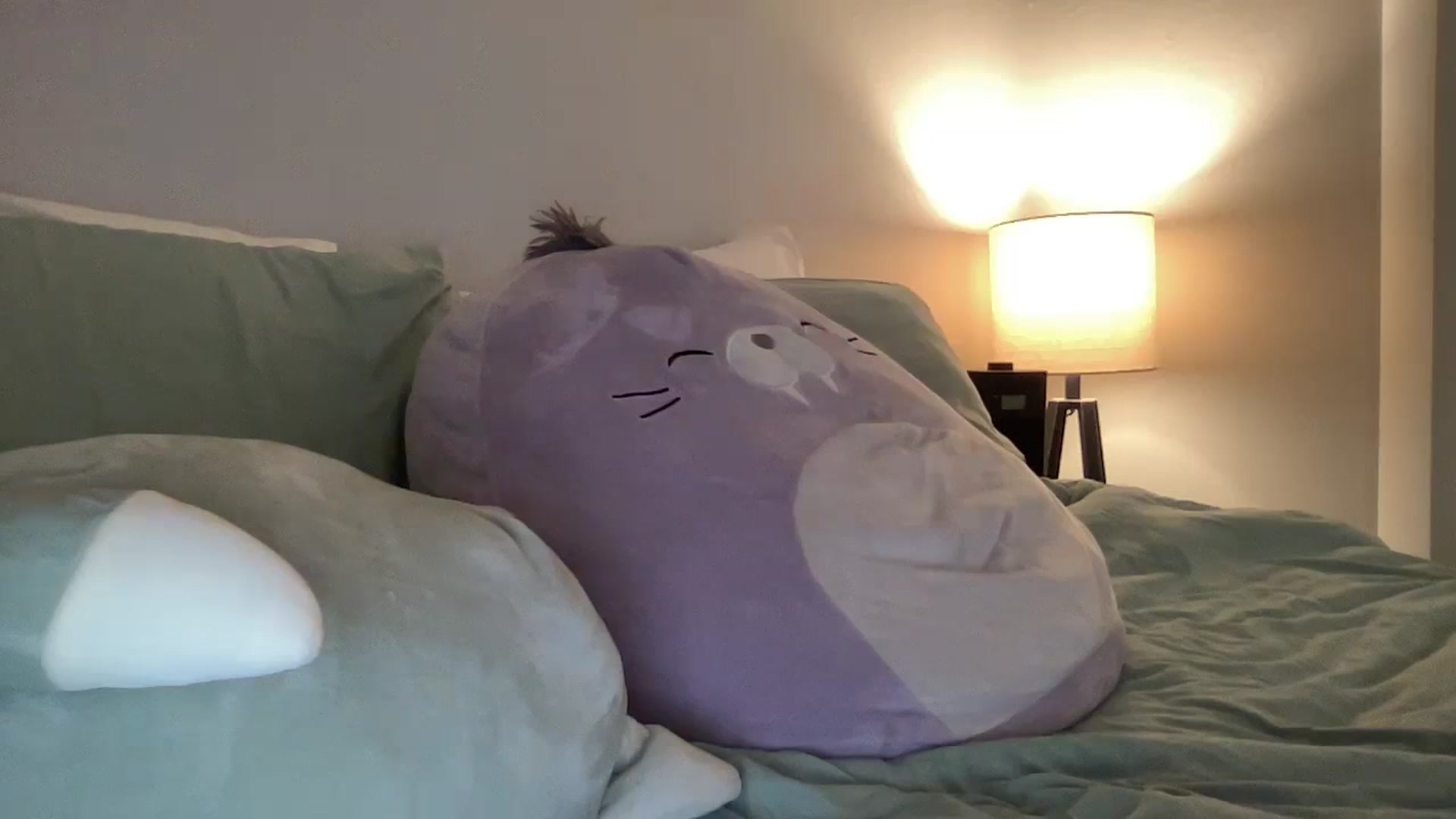 Gallery image thumbnail from KittyKat29's myfreecams stream on, 09/23/2023, 05:35 image 3 of 20
