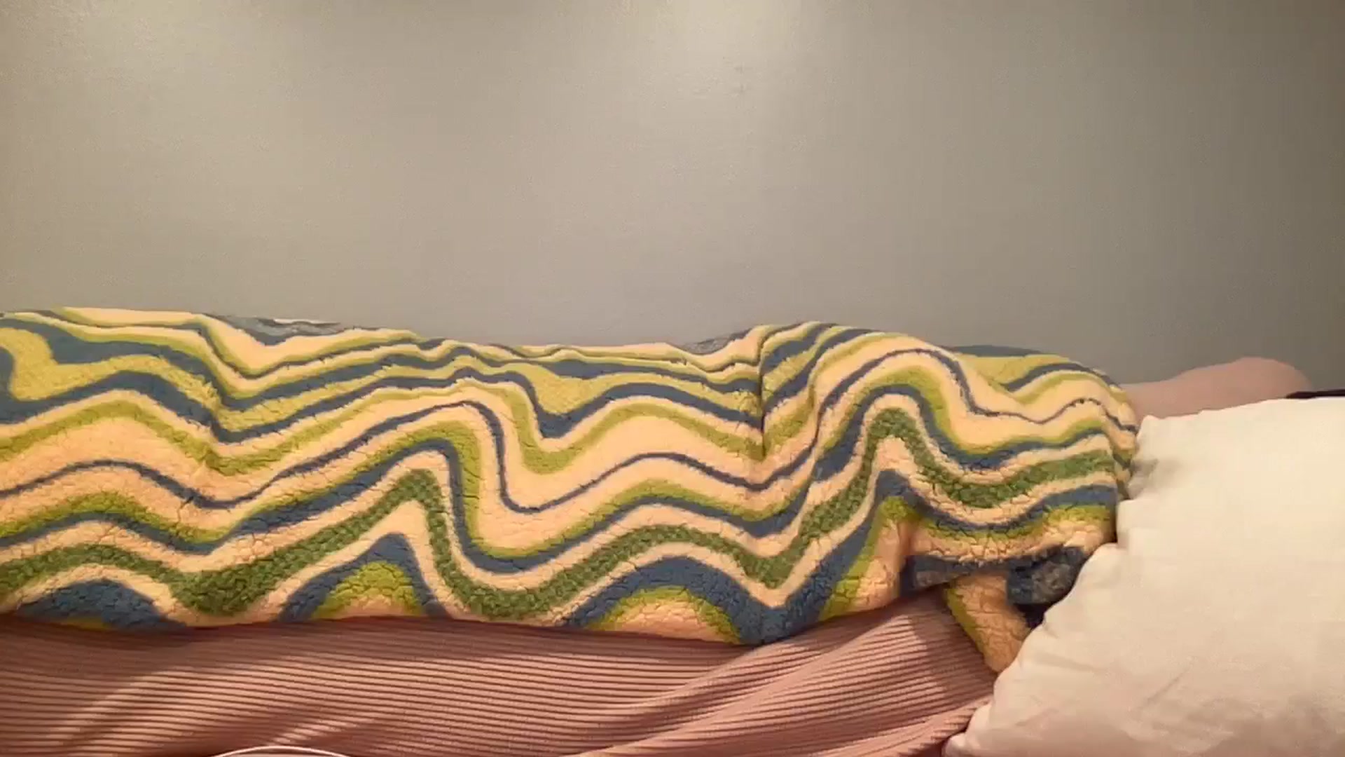 Gallery image thumbnail from KittyKat29's myfreecams stream on, 09/25/2023, 03:04 image 12 of 20