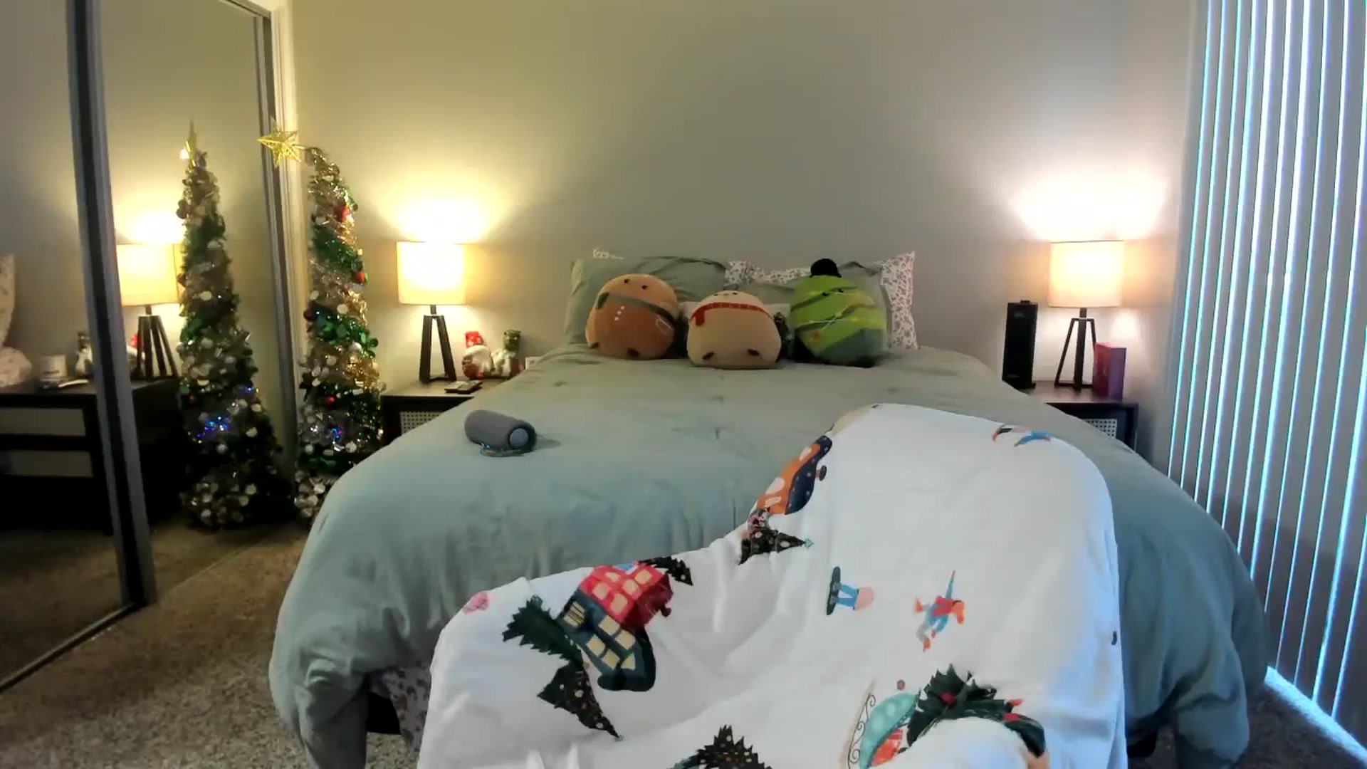 Gallery image thumbnail from KittyKat29's myfreecams stream on, 11/27/2023, 24:43 image 10 of 20