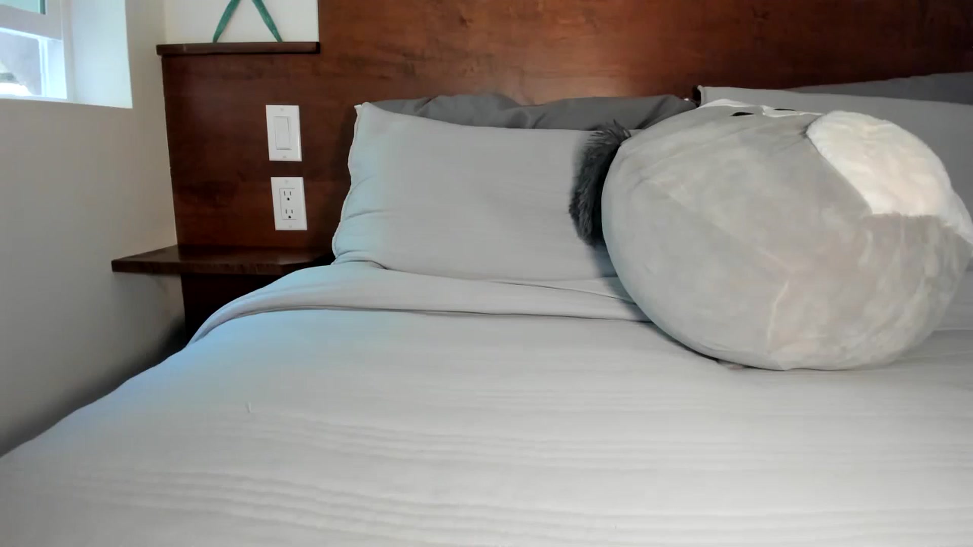 Gallery image thumbnail from KittyKat29's myfreecams stream on, 02/08/2024, 22:37 image 8 of 20
