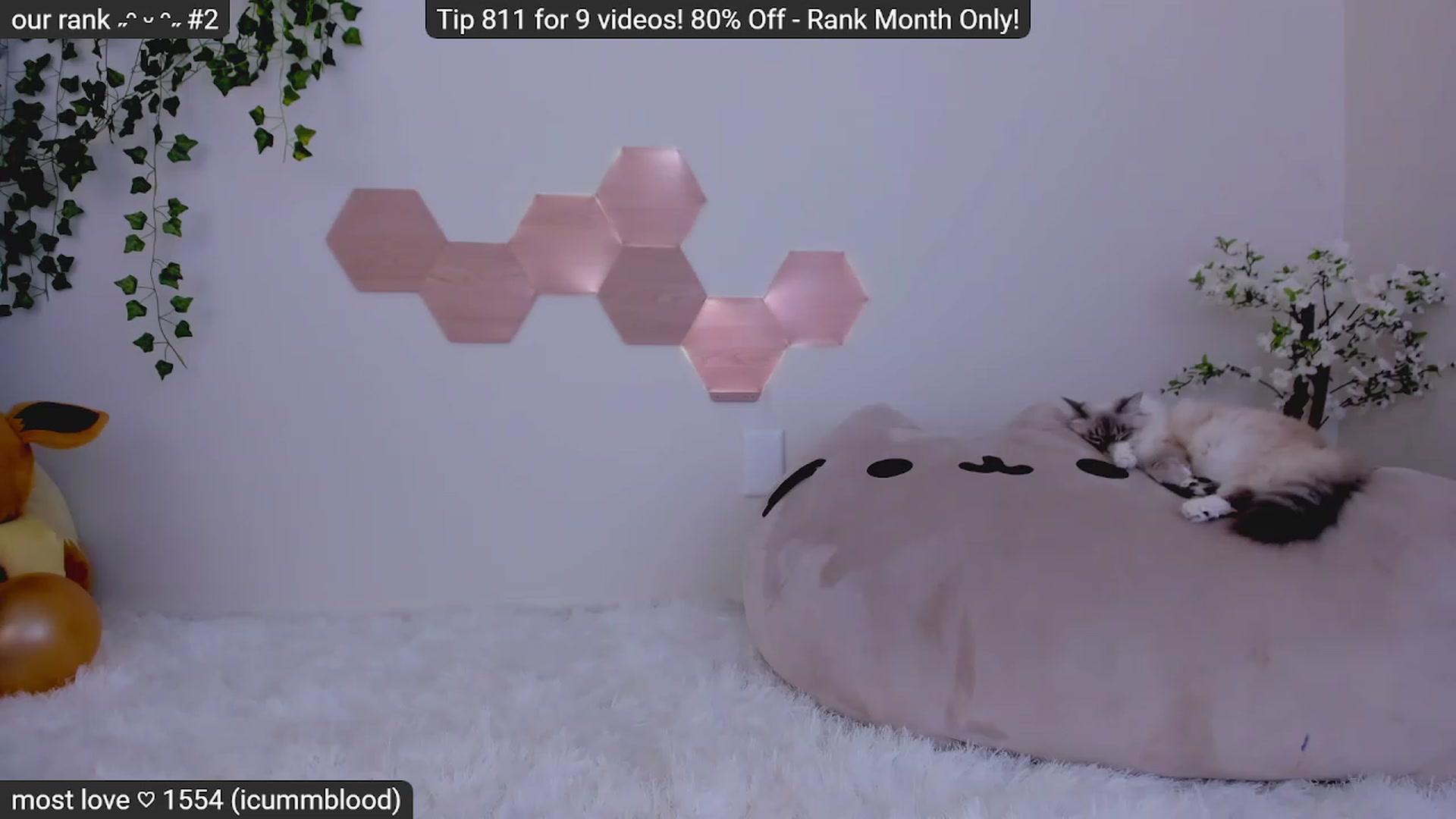 Gallery image thumbnail from KittyQueenMFC's myfreecams stream on, 01/31/2023, 08:02 image 5 of 20