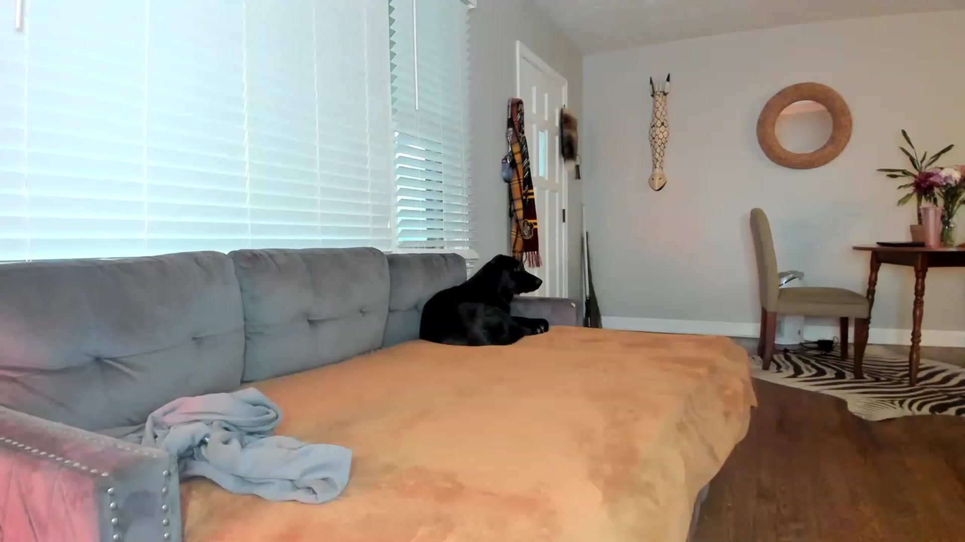 Gallery image thumbnail from KittyQuinn's myfreecams stream on, 03/03/2023, 15:29 image 6 of 20