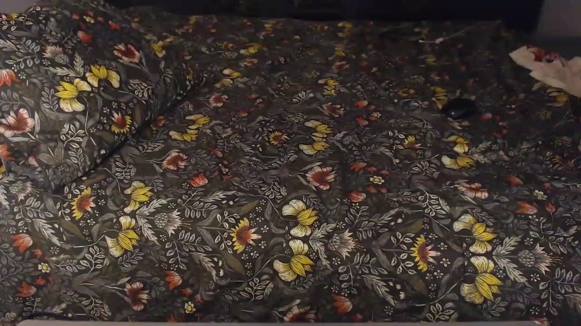 Gallery image thumbnail from KittySasha's myfreecams stream on, 03/27/2023, 19:42 image 18 of 20