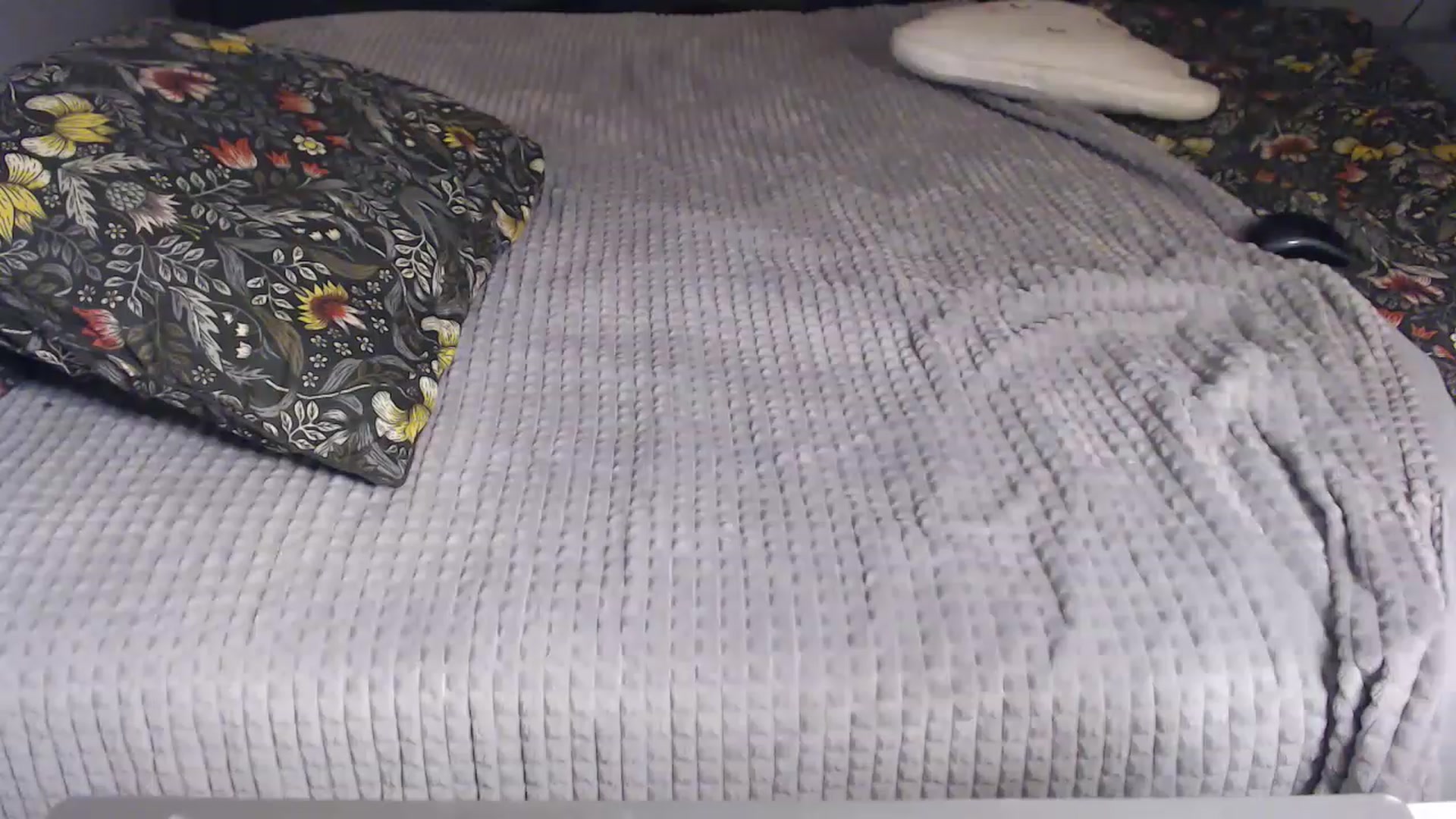 Gallery image thumbnail from KittySasha's myfreecams stream on, 05/27/2023, 15:06 image 17 of 20