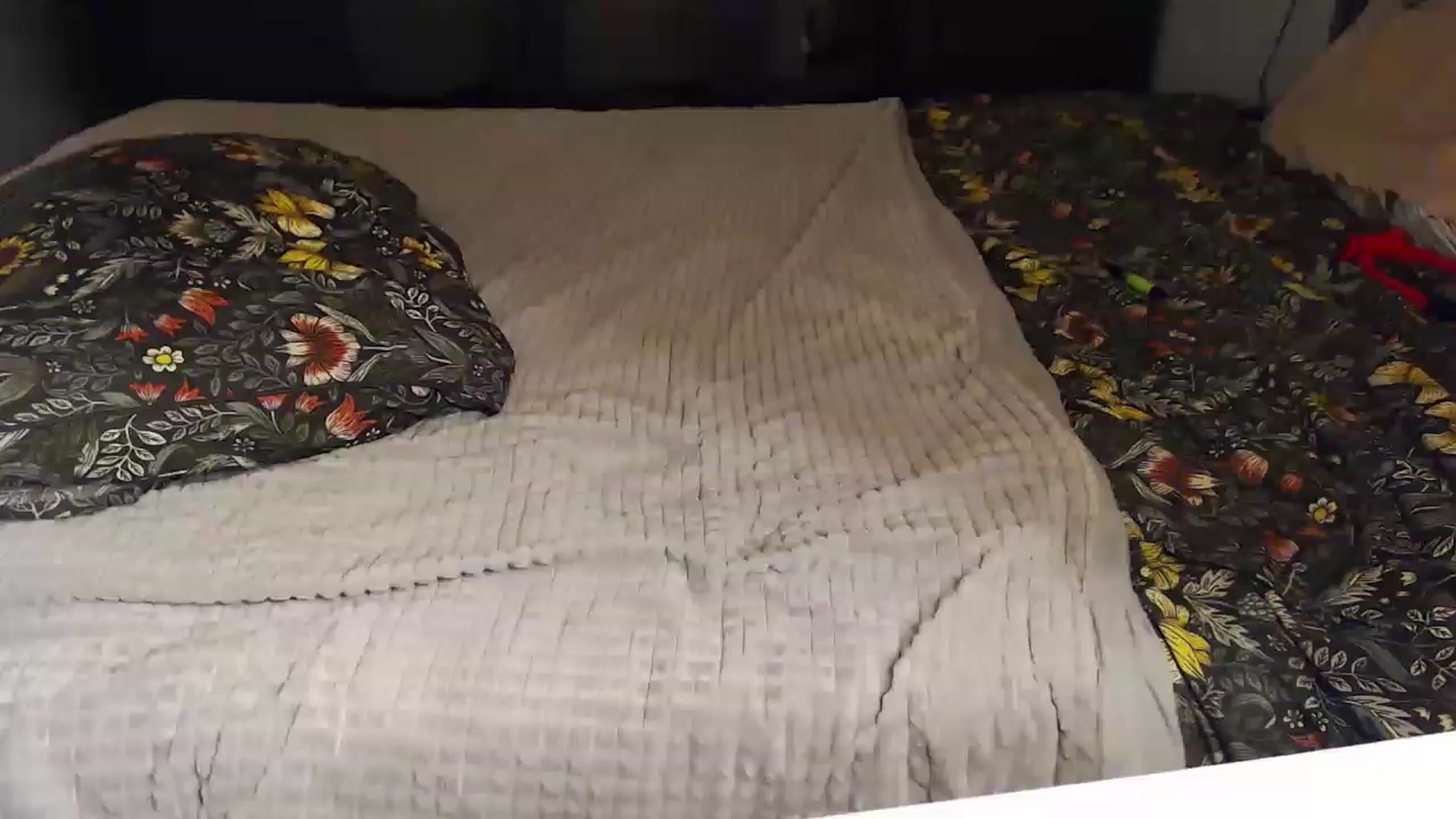 Gallery image thumbnail from KittySasha's myfreecams stream on, 07/22/2023, 11:46 image 11 of 20
