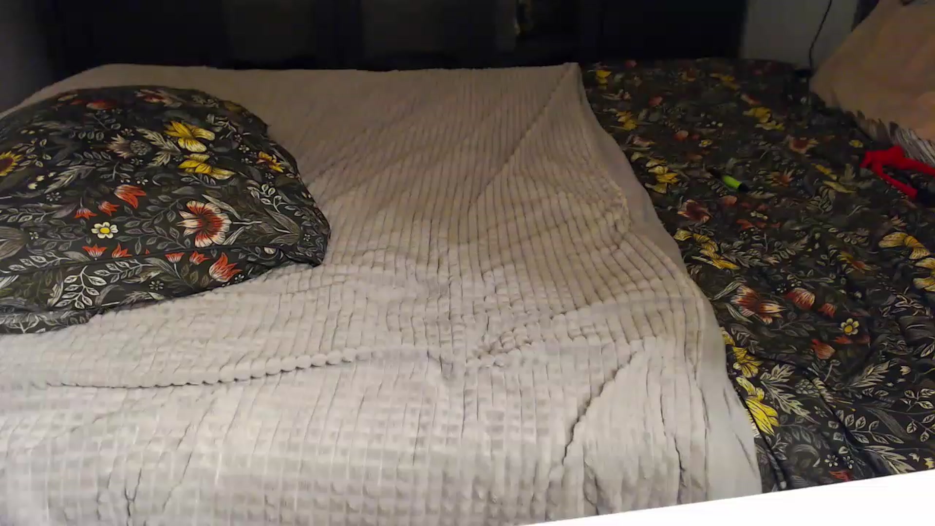 Gallery image thumbnail from KittySasha's myfreecams stream on, 07/22/2023, 11:46 image 15 of 20