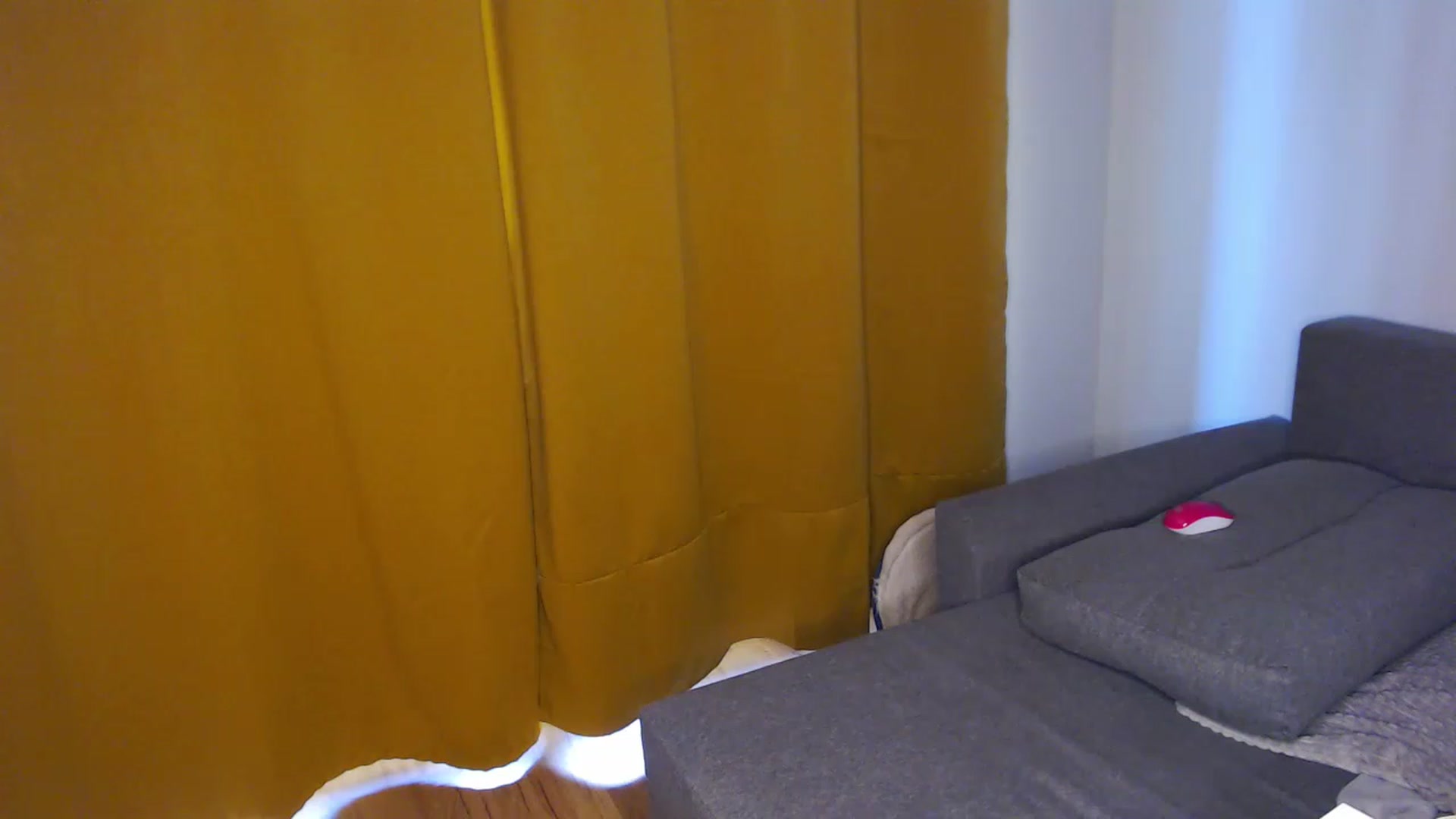 Gallery image thumbnail from KittySasha's myfreecams stream on, 08/23/2023, 11:10 image 16 of 20