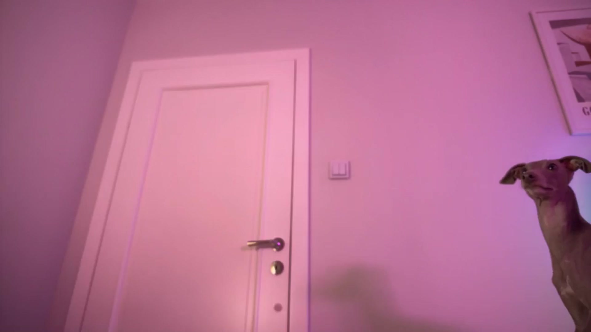 Gallery image thumbnail from KittySasha's myfreecams stream on, 10/12/2025, 17:19 image 17 of 20