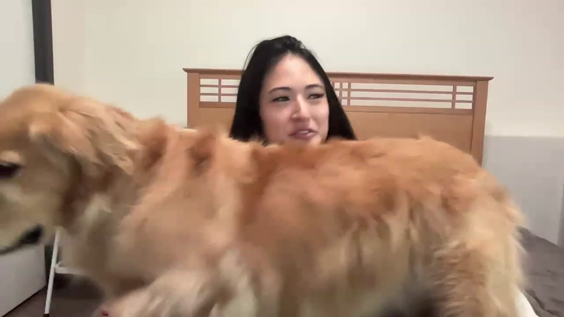 Gallery image thumbnail from Kitty_Kimmie's myfreecams stream on, 06/22/2023, 16:42 image 9 of 20