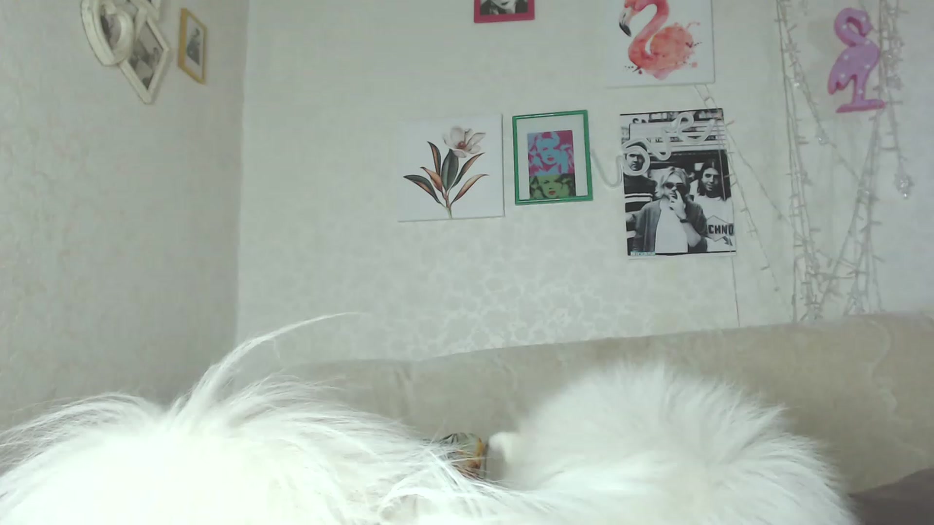 Gallery image thumbnail from Kitty_lover22's myfreecams stream on, 11/28/2022, 05:36 image 2 of 20