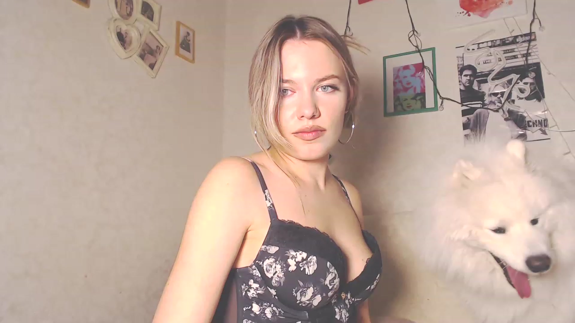 Gallery image thumbnail from Kitty_lover22's myfreecams stream on, 12/27/2022, 13:41 image 11 of 20
