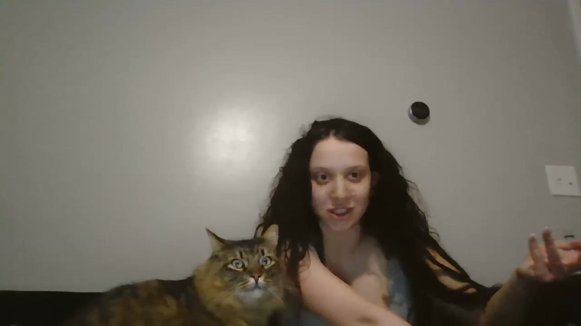 Gallery image thumbnail from Kittygames's myfreecams stream on, 03/16/2025, 12:14 image 3 of 20