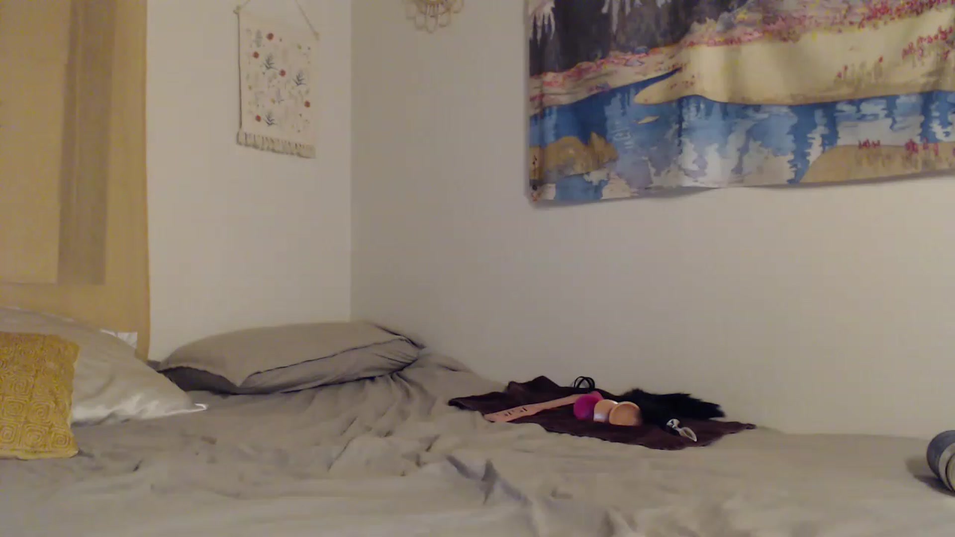 Gallery image thumbnail from KittygirlKat1's myfreecams stream on, 06/12/2023, 05:54 image 7 of 20
