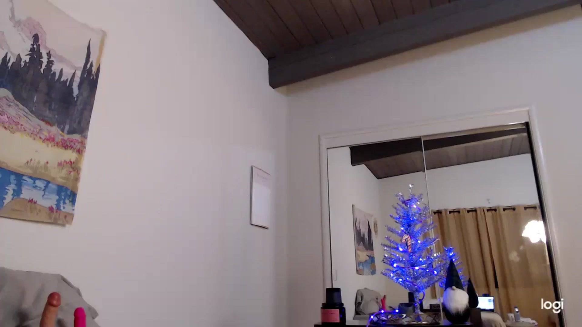 Gallery image thumbnail from KittygirlKat1's myfreecams stream on, 12/24/2023, 06:12 image 2 of 20