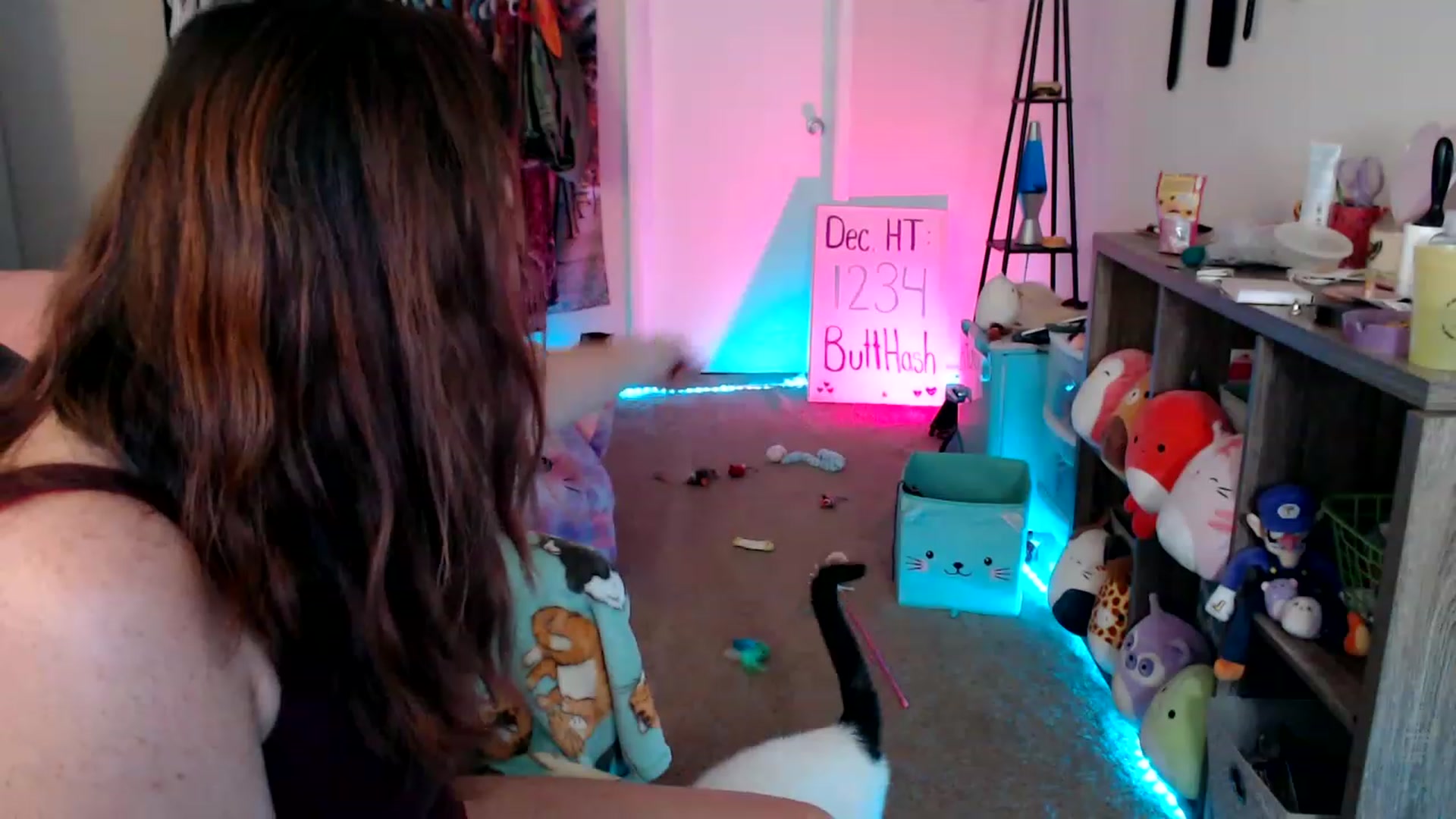 Gallery image thumbnail from Kittylacee's myfreecams stream on, 12/18/2022, 14:43 image 7 of 20