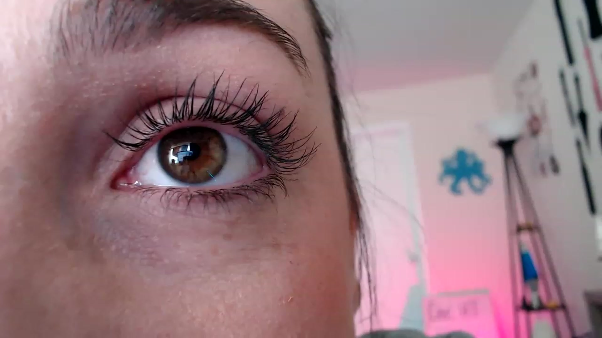 Gallery image thumbnail from Kittylacee's myfreecams stream on, 12/30/2022, 14:26 image 6 of 20