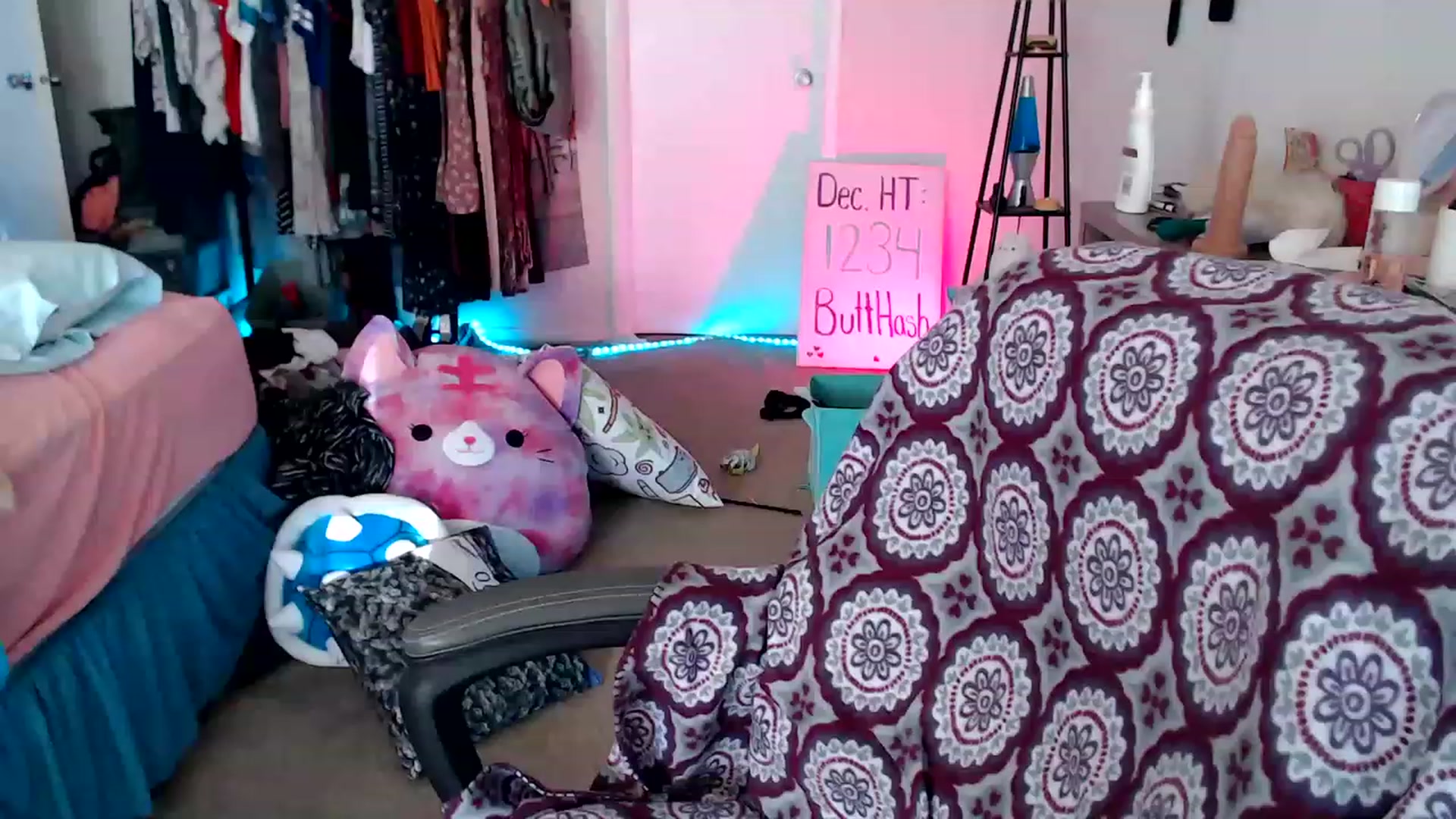 Gallery image thumbnail from Kittylacee's myfreecams stream on, 12/30/2022, 14:26 image 10 of 20