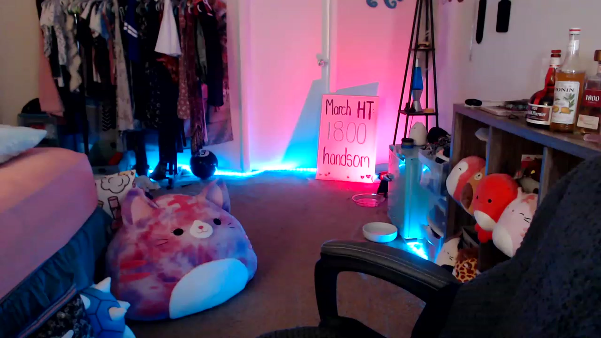 Gallery image thumbnail from Kittylacee's myfreecams stream on, 03/19/2023, 08:52 image 14 of 20