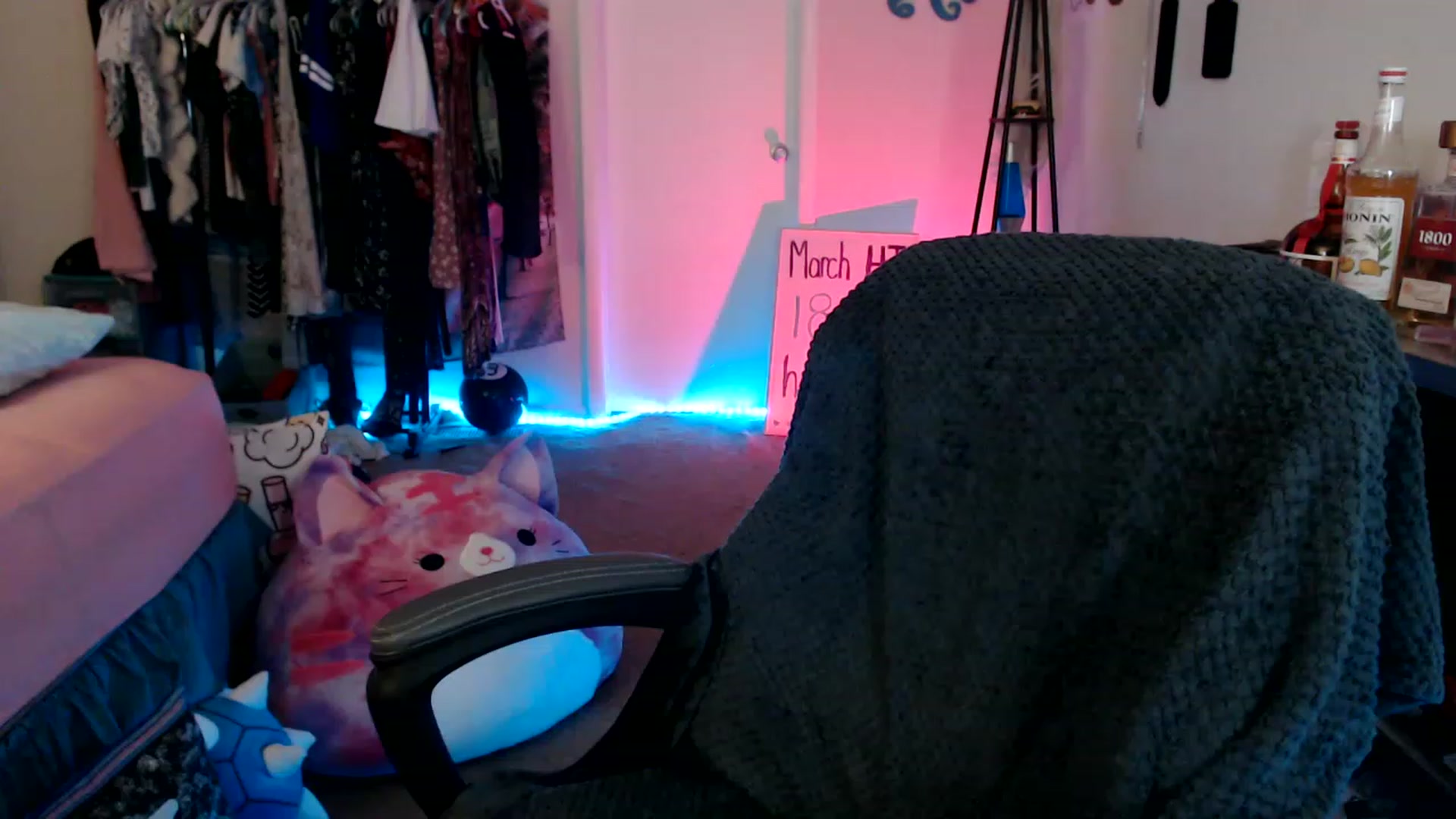 Gallery image thumbnail from Kittylacee's myfreecams stream on, 03/19/2023, 08:52 image 15 of 20