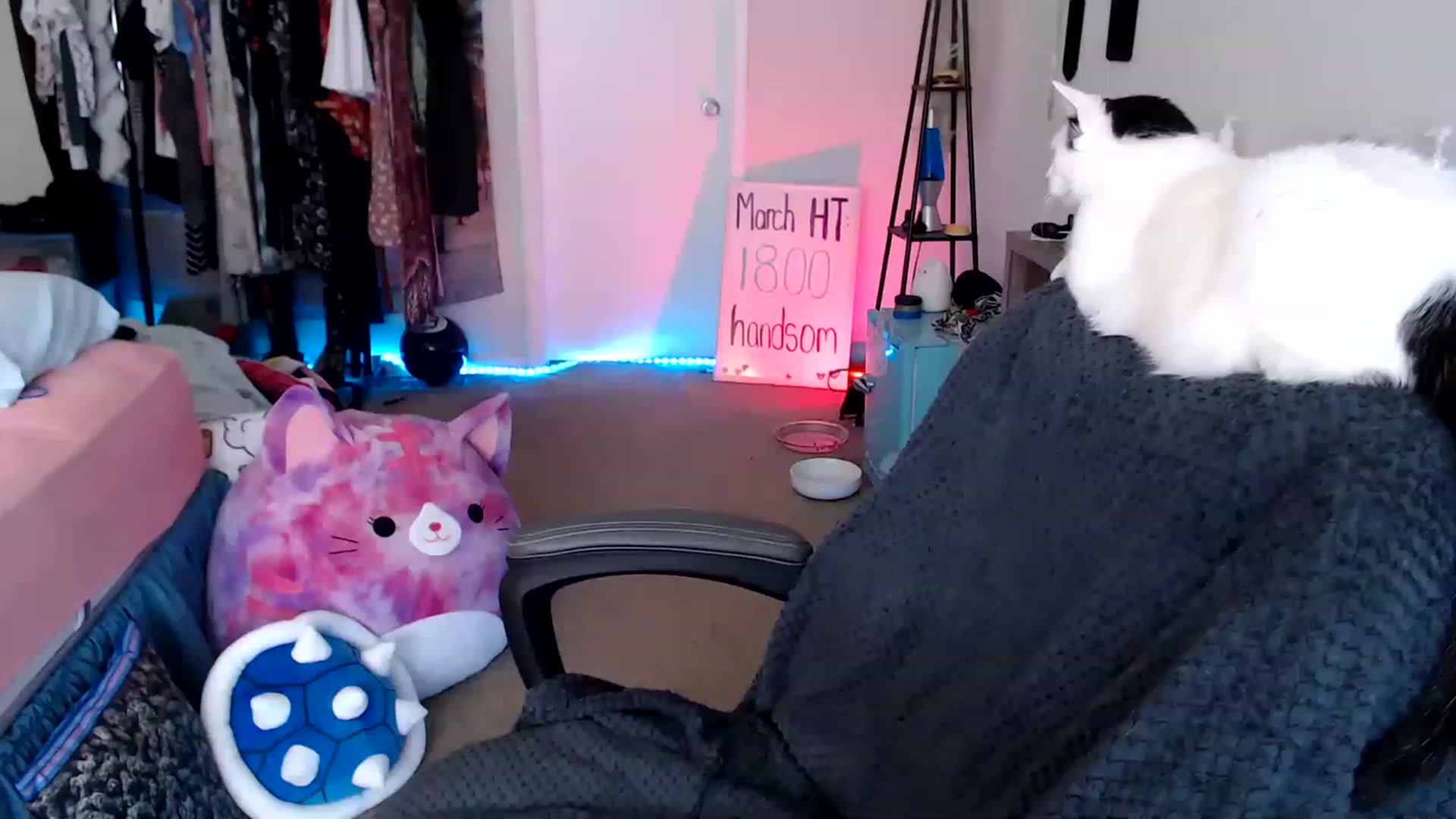 Gallery image thumbnail from Kittylacee's myfreecams stream on, 03/22/2023, 16:47 image 8 of 20