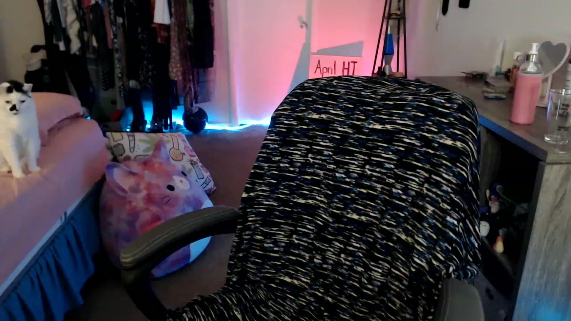 Gallery image thumbnail from Kittylacee's myfreecams stream on, 04/17/2023, 04:52 image 13 of 20