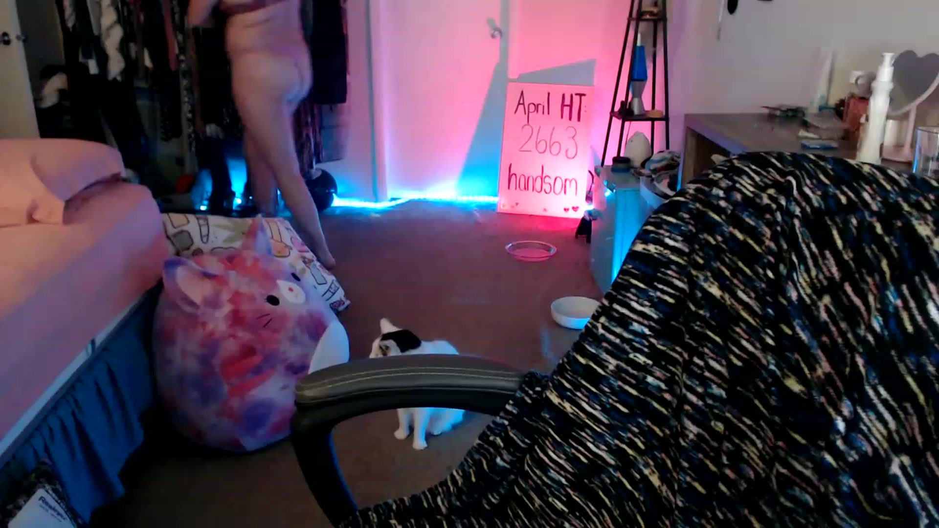 Gallery image thumbnail from Kittylacee's myfreecams stream on, 04/17/2023, 09:24 image 19 of 20