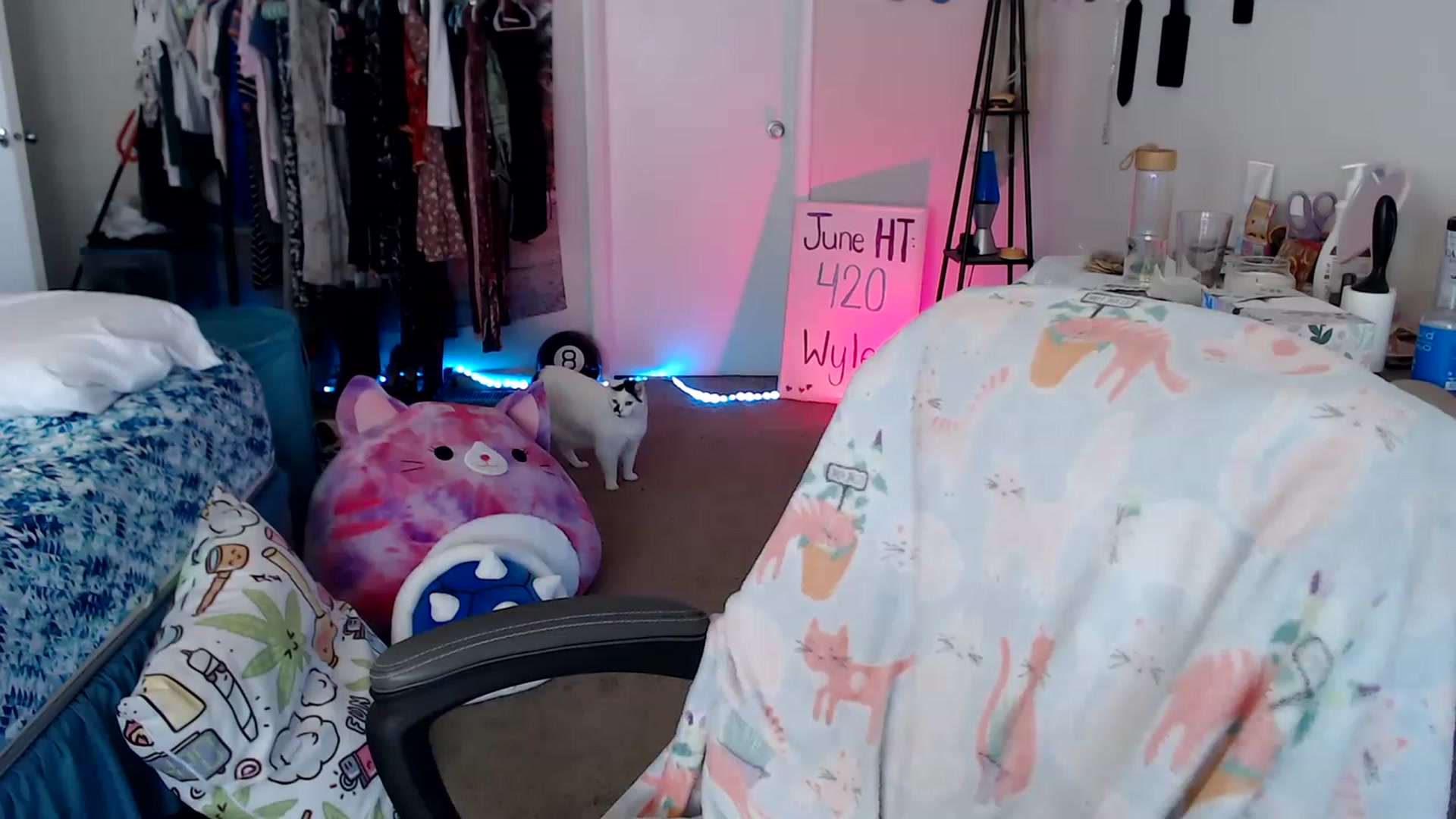 Gallery image thumbnail from Kittylacee's myfreecams stream on, 06/10/2023, 13:43 image 8 of 20